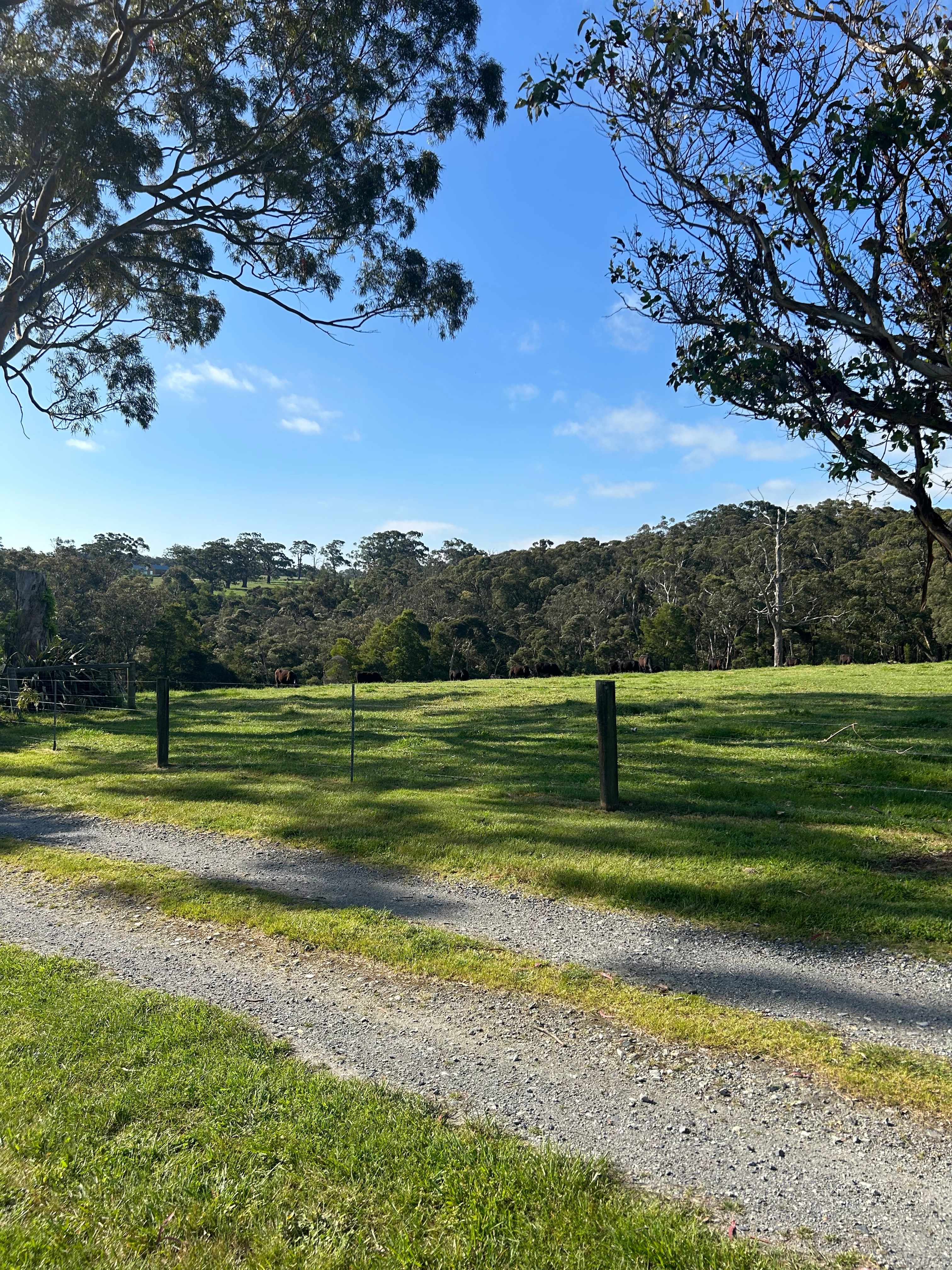 More of our view from our campervan . 