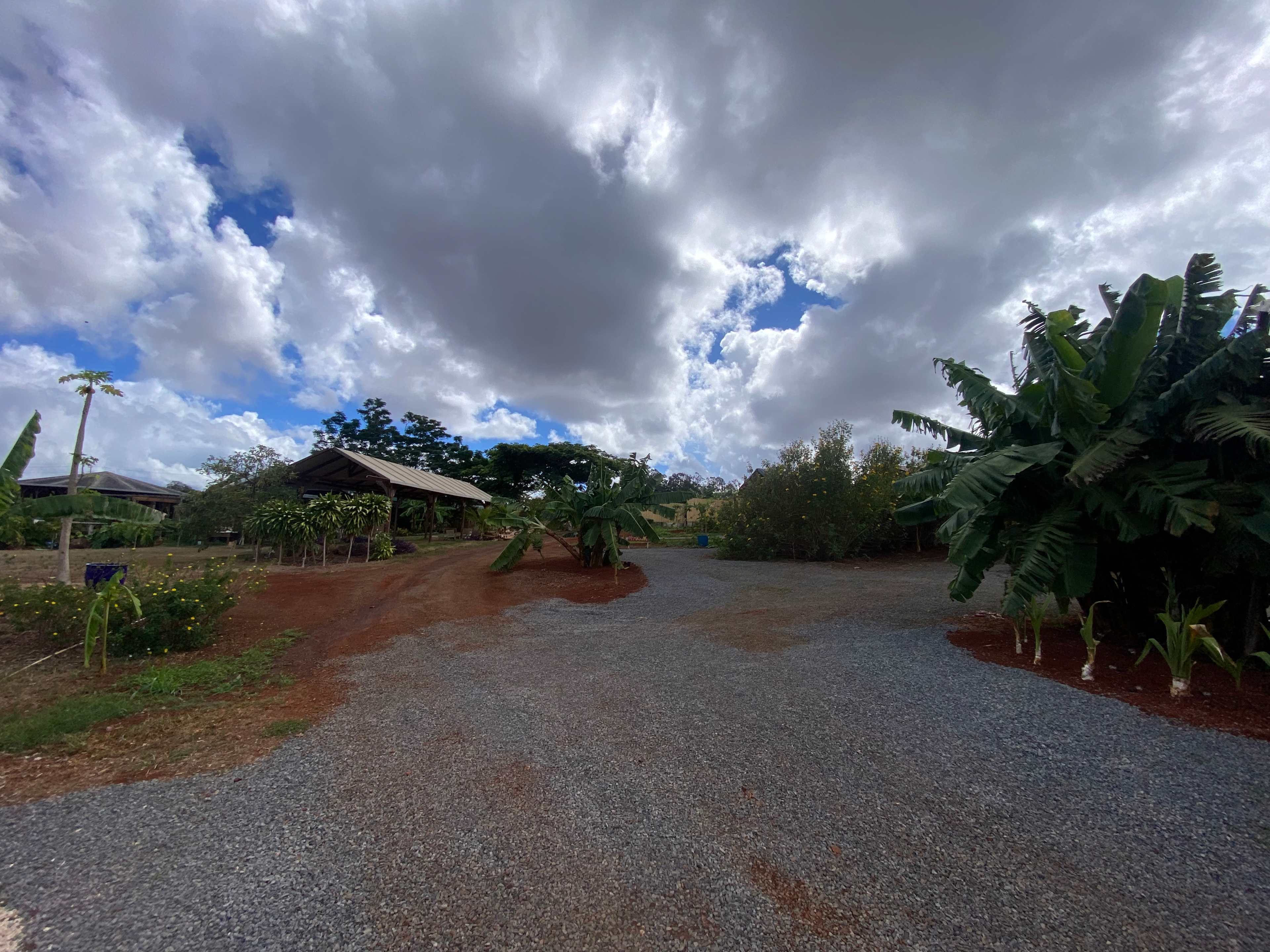 Passing Showers keeps the farm growing 