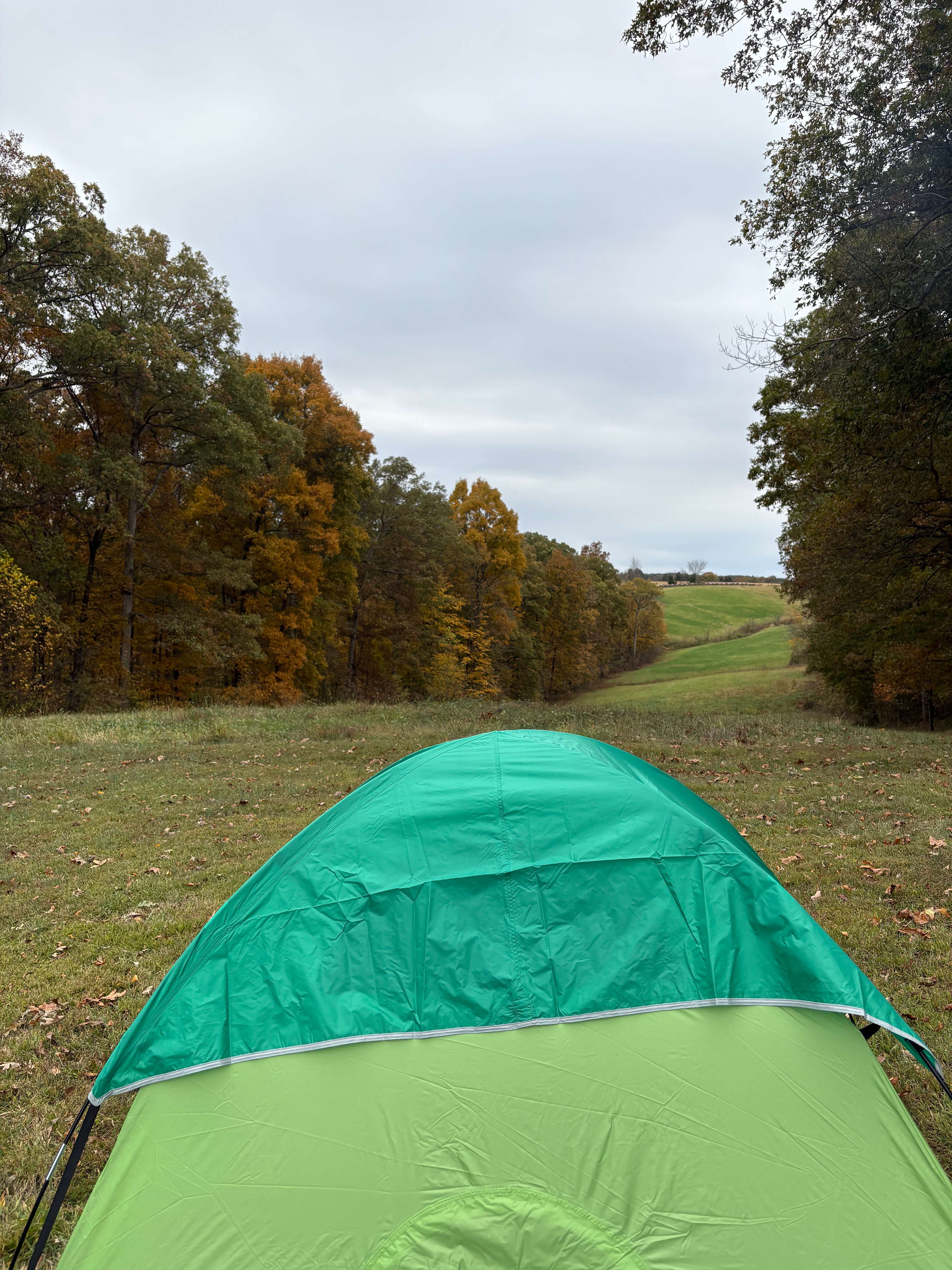 Woods camping location