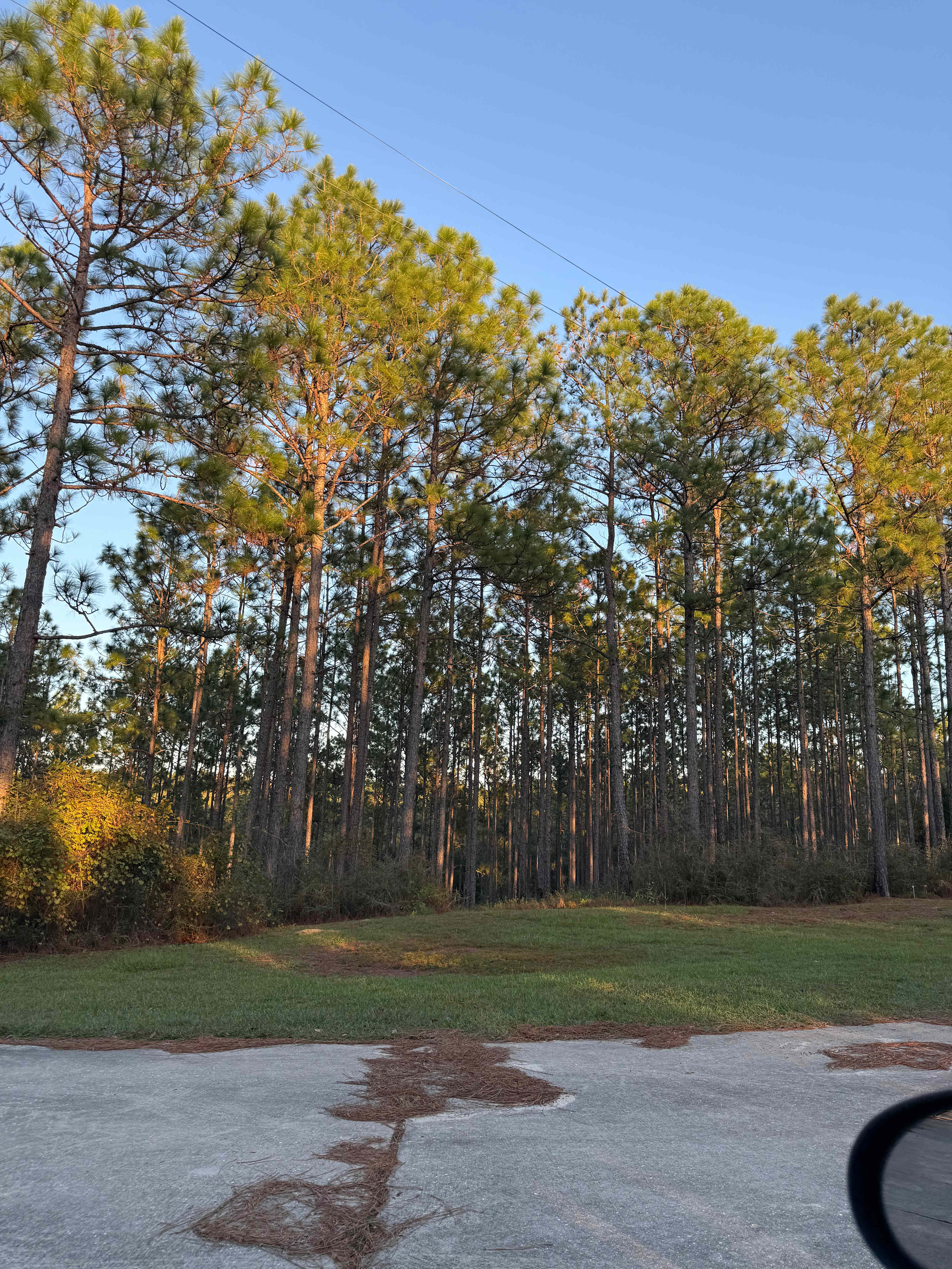 Heart of the Country