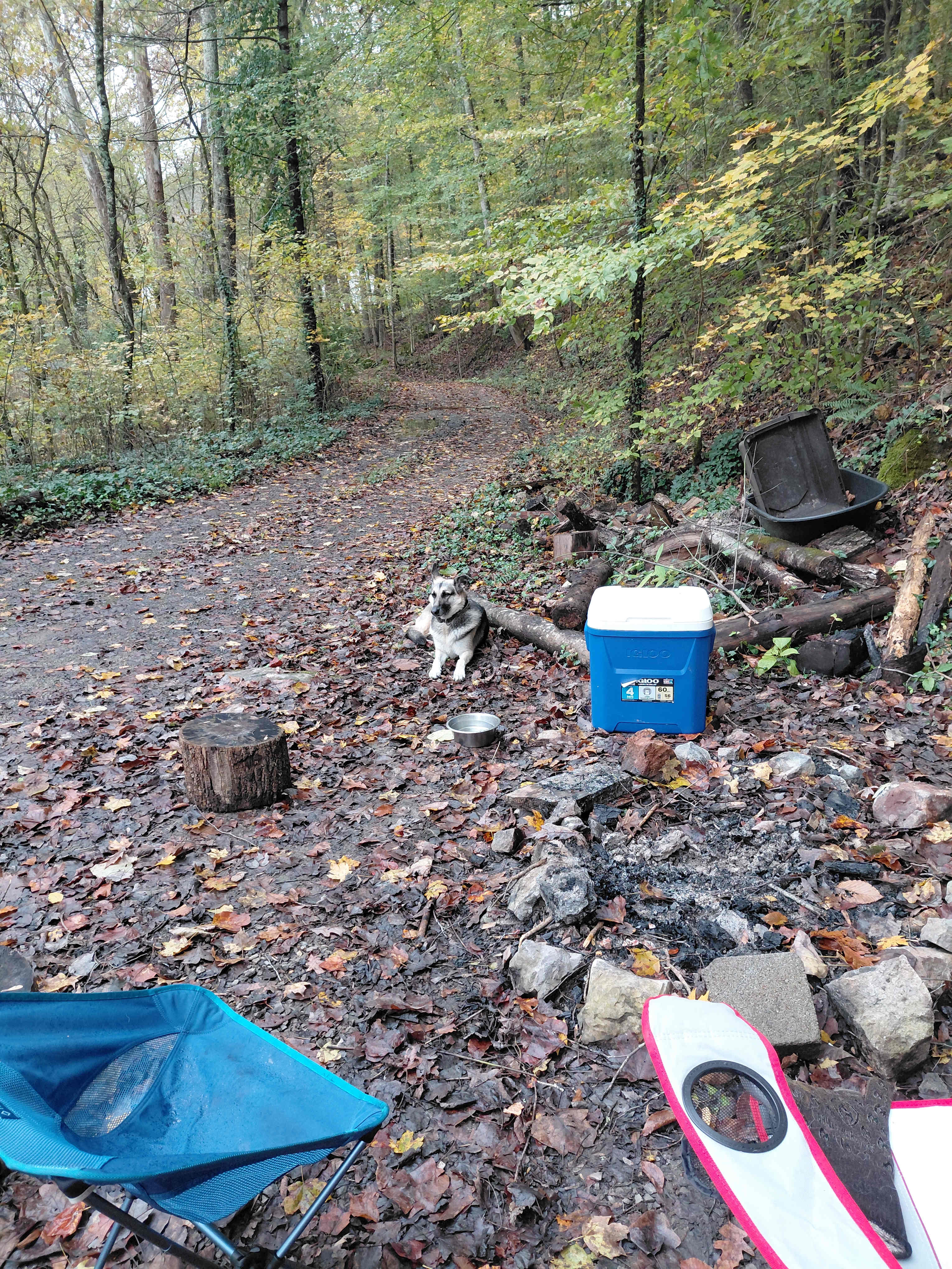 Camping at Redtail Farm