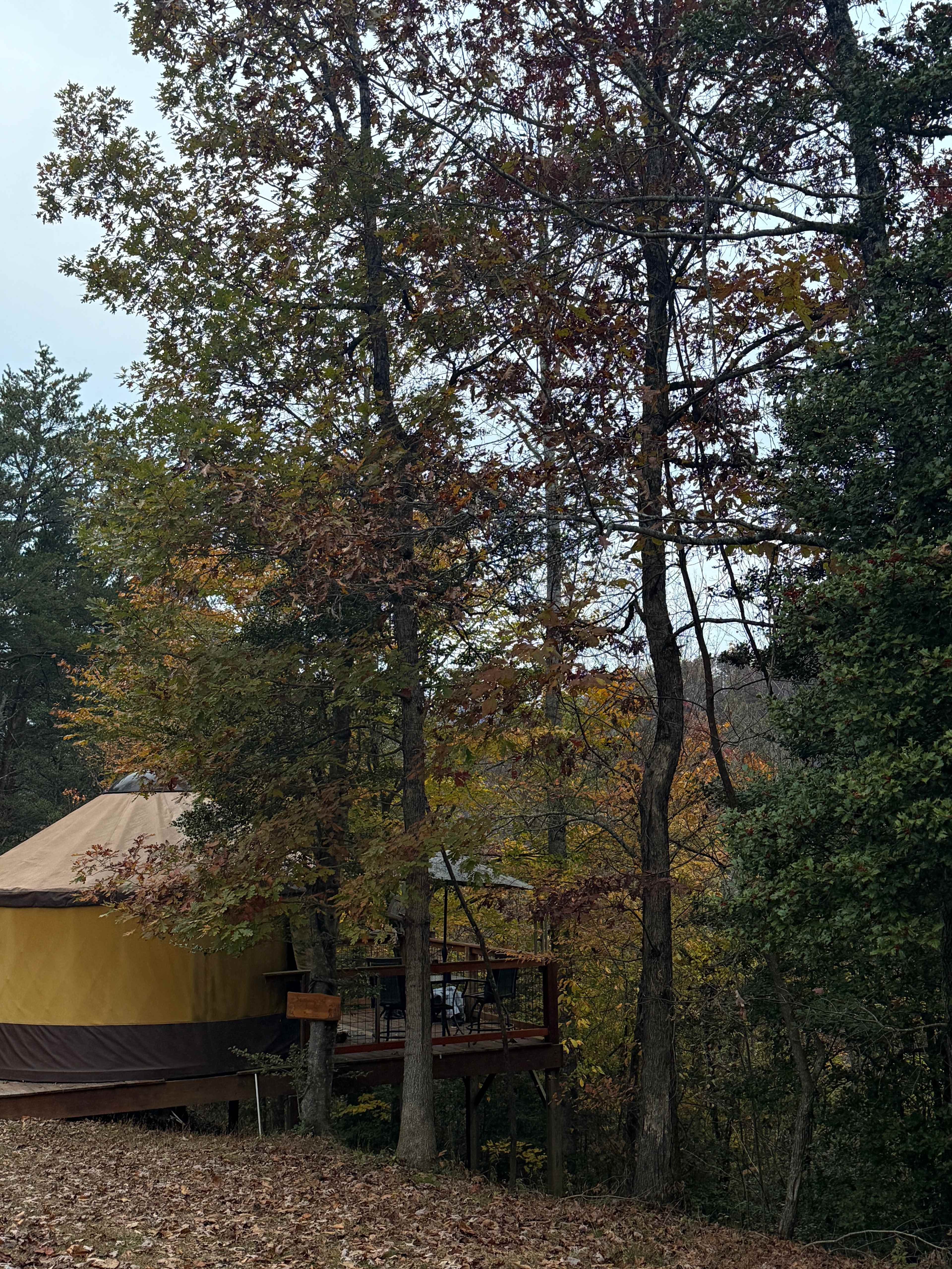 Destination Outdoors! DO IT!