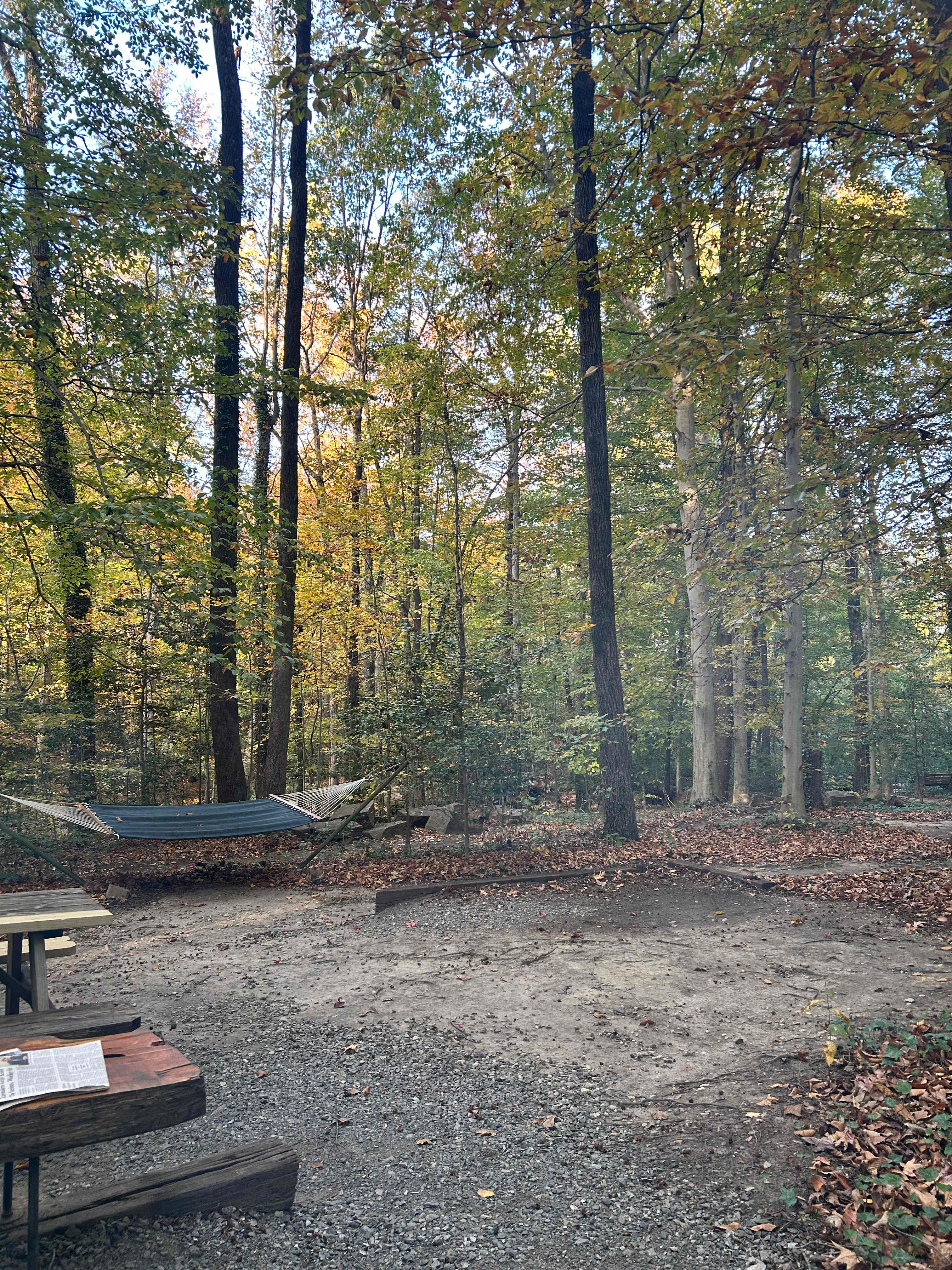 City Camp on Reedy Creek