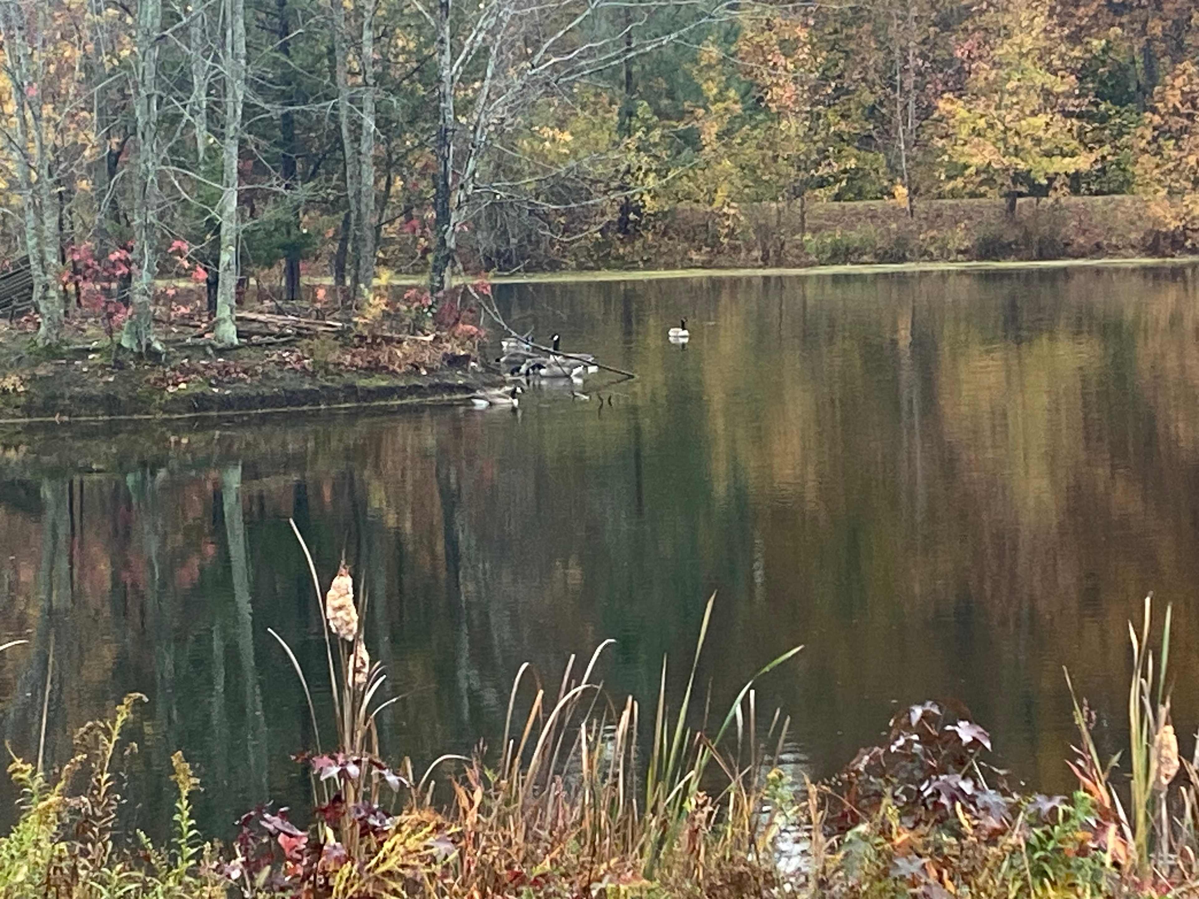 Burton Family Farm a place to relax