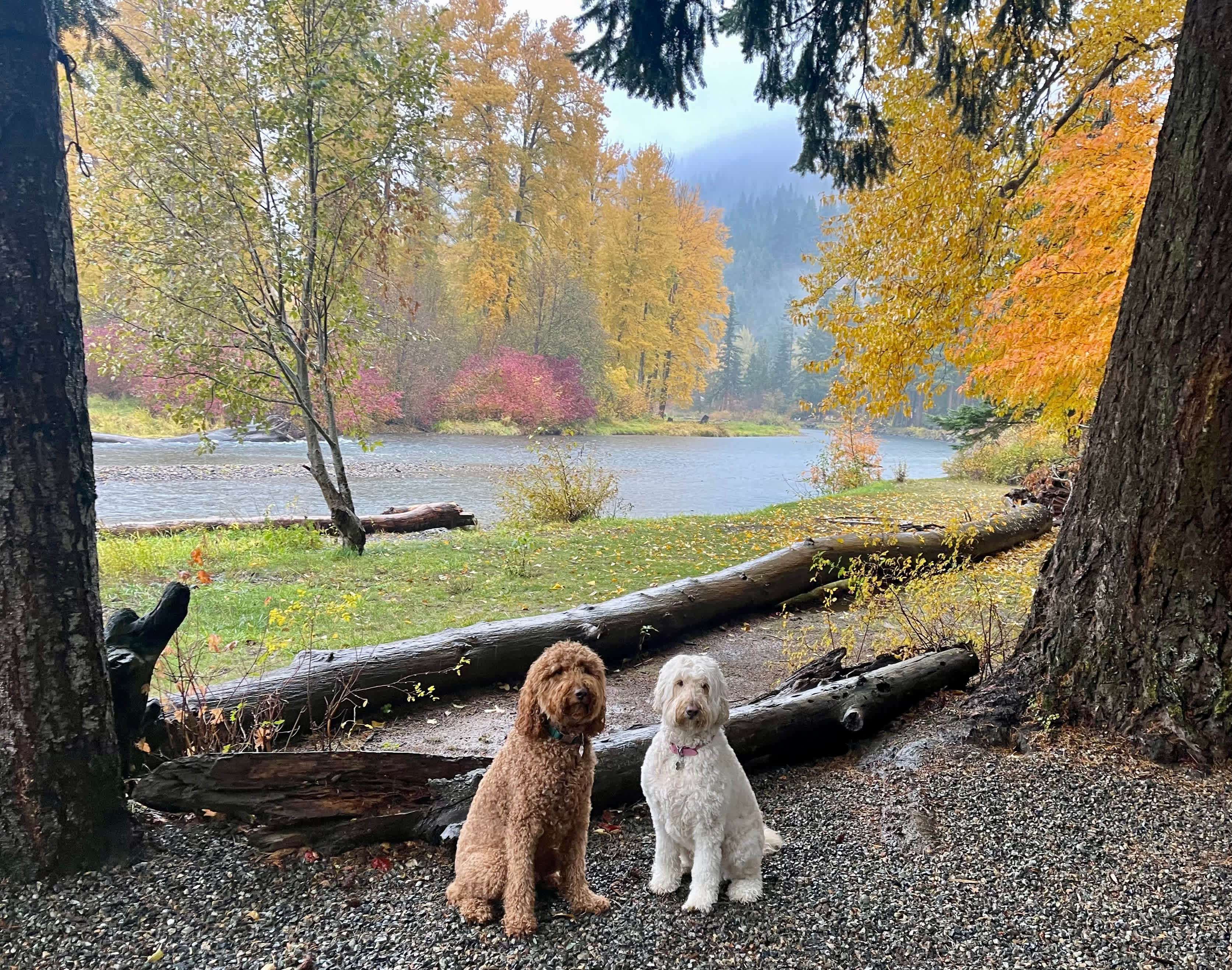 The river is so close and beautiful!