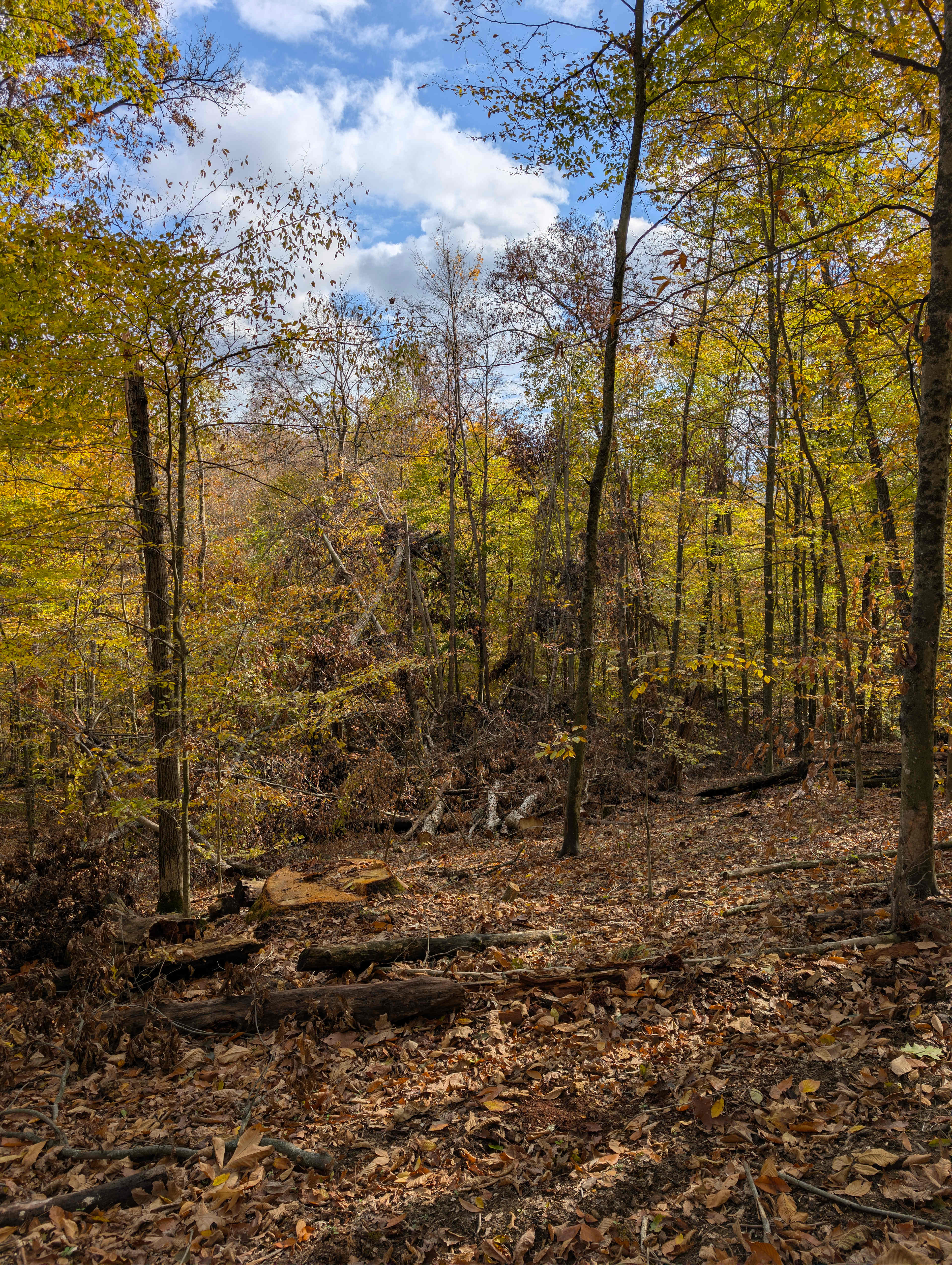 One of the hiking trails