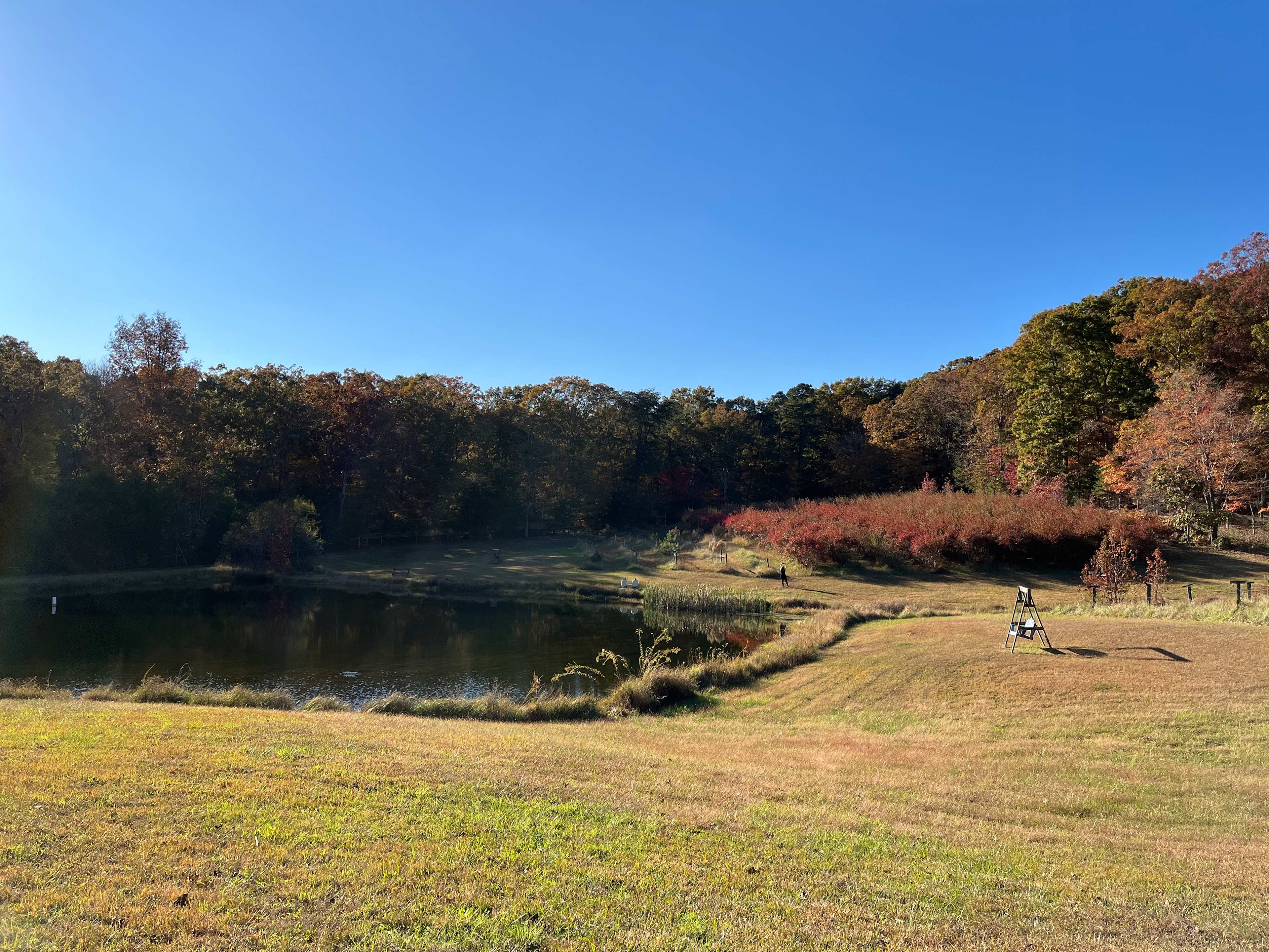 Private meadow and pond