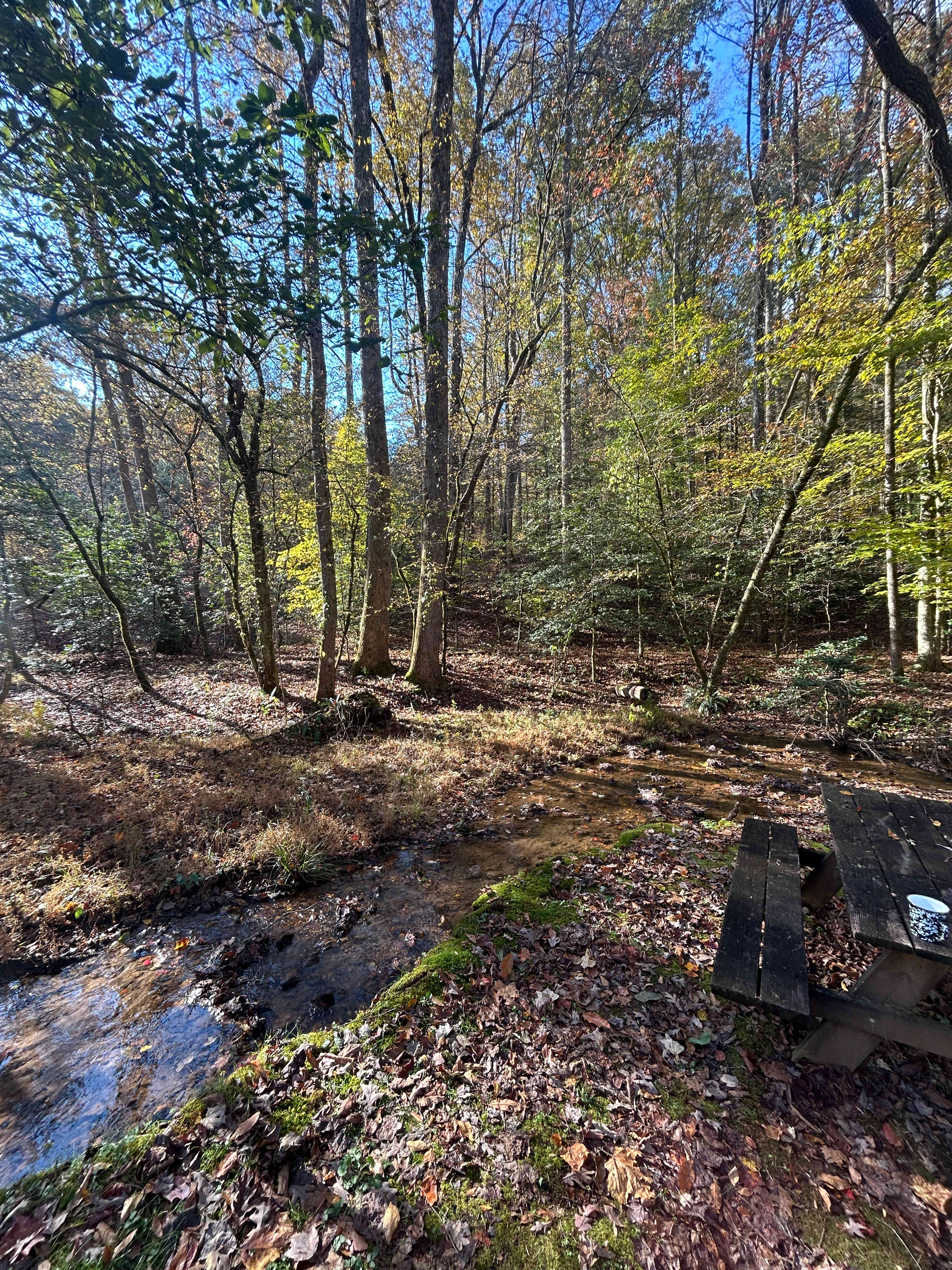 White Dog Farm camping