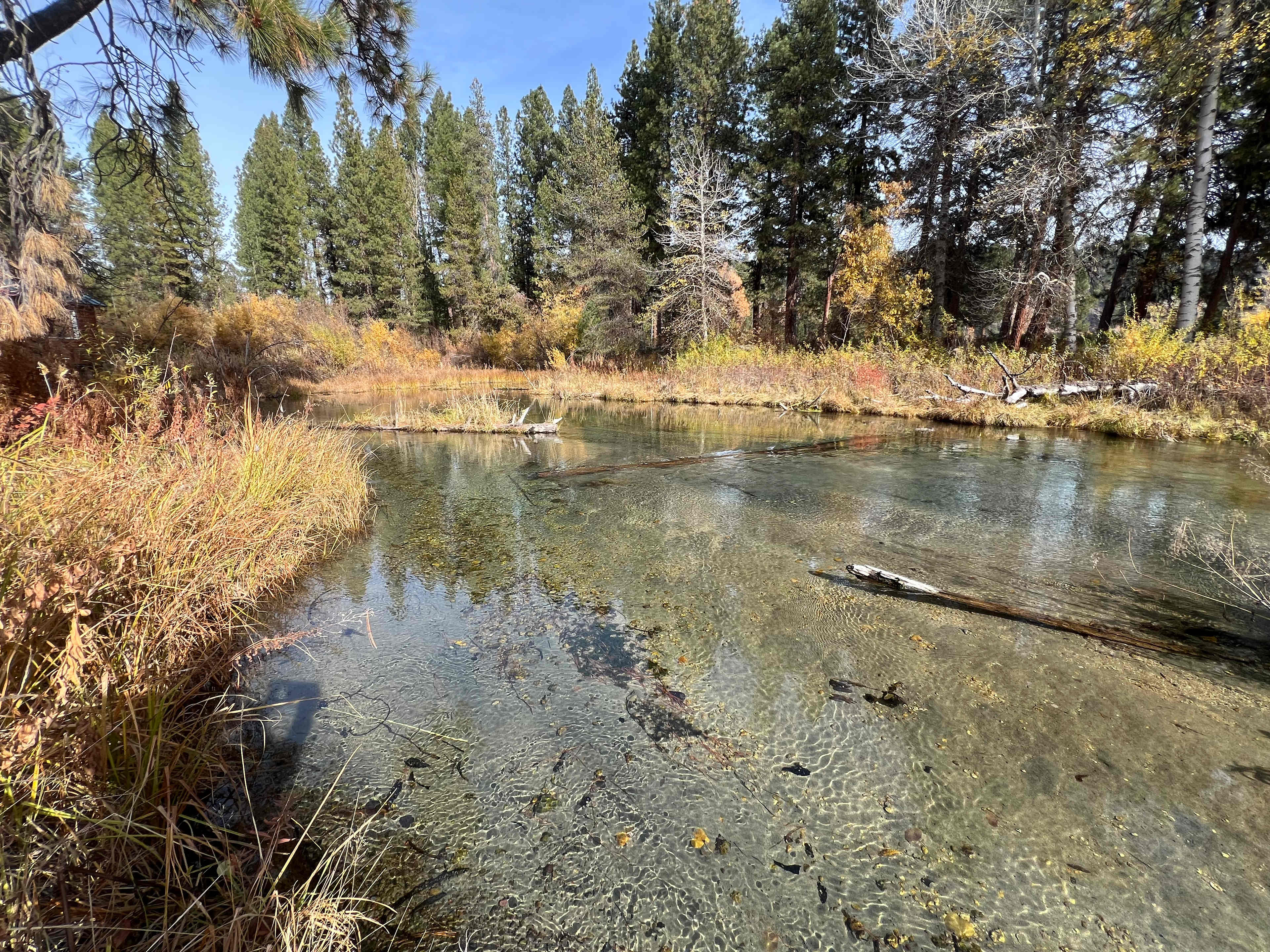 The clear water creek that bordered our campsite.