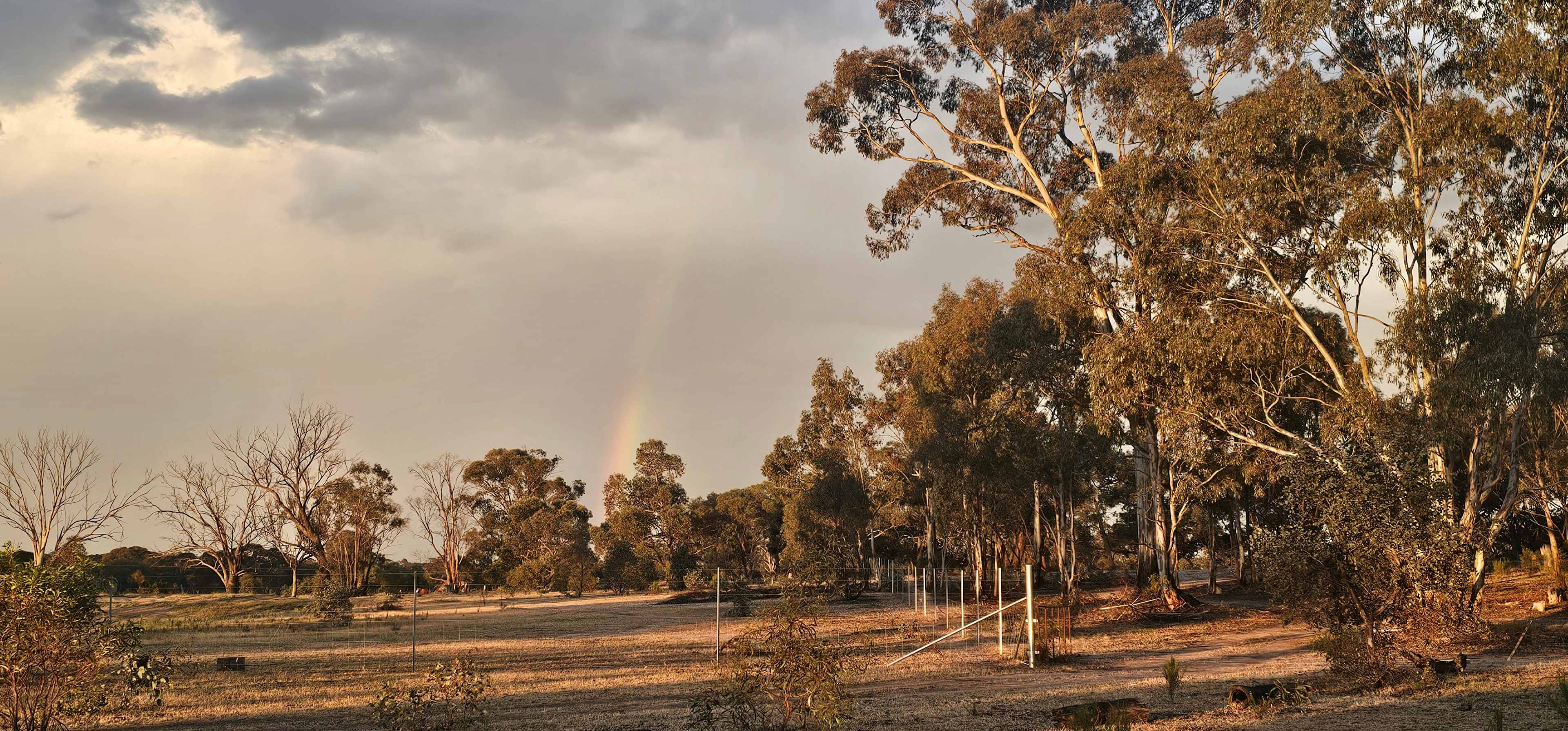 Somerville Park   (Bendigo)