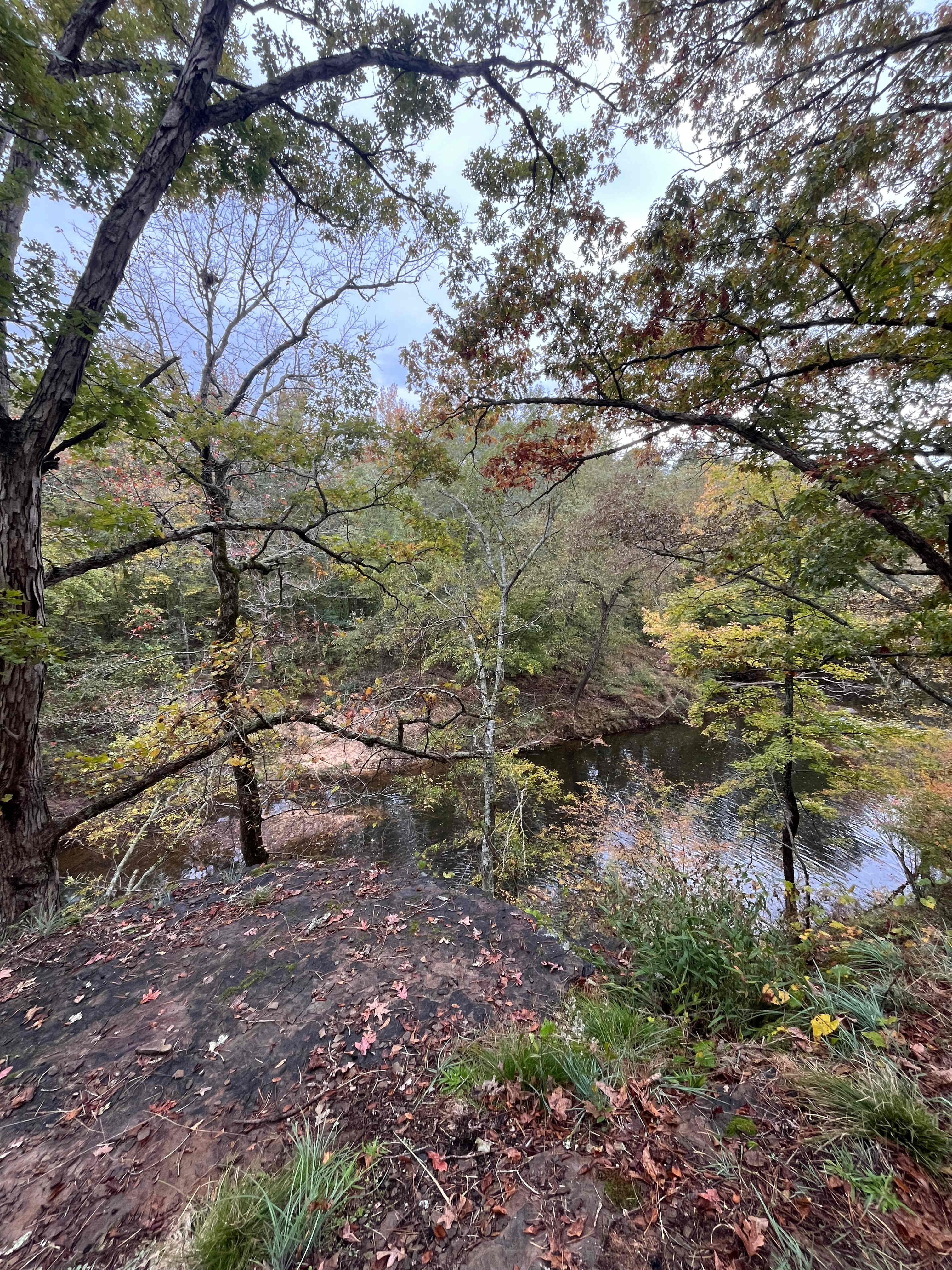 Batesville Mountain Campground