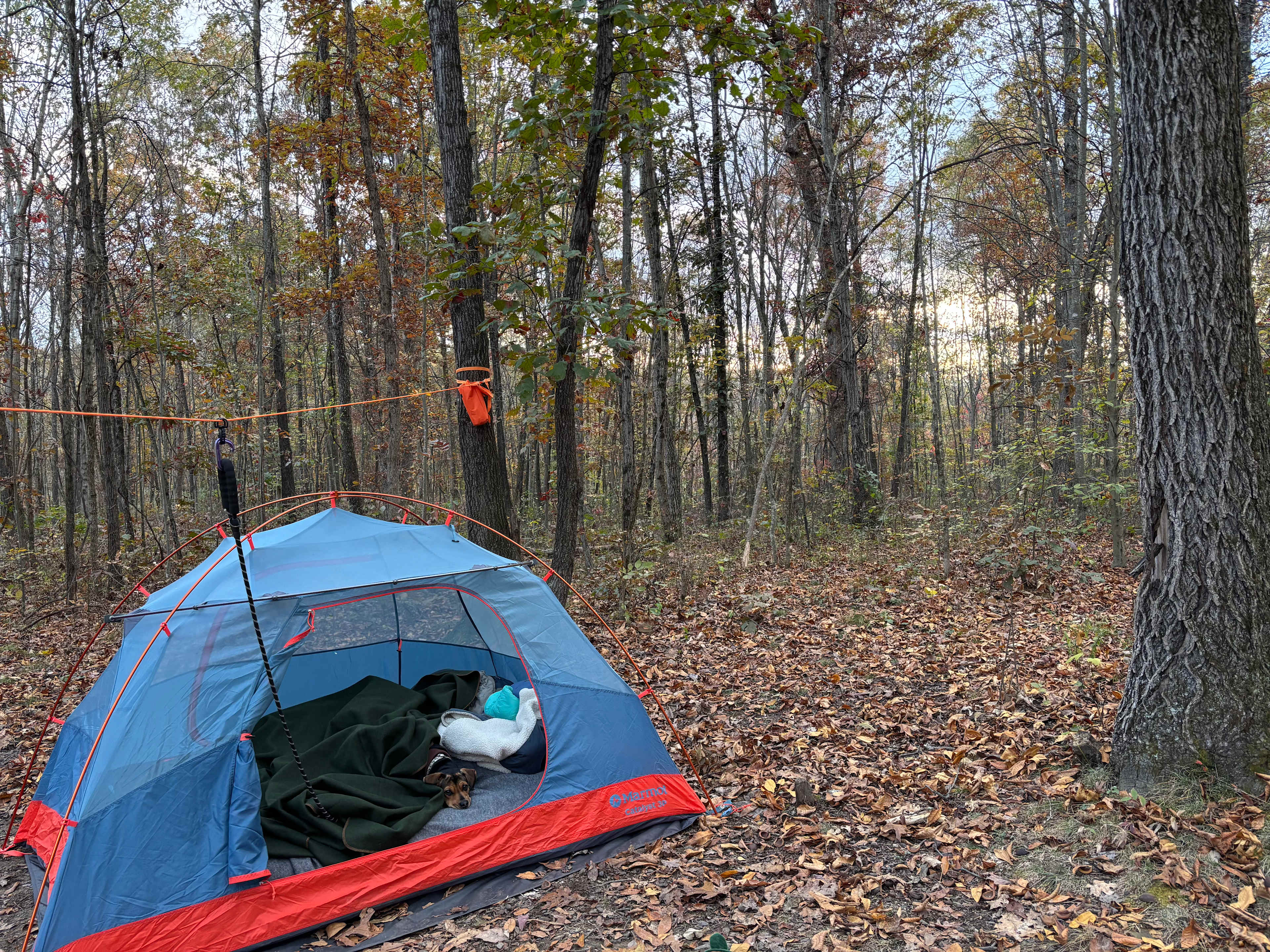 Benton's on the Baileys