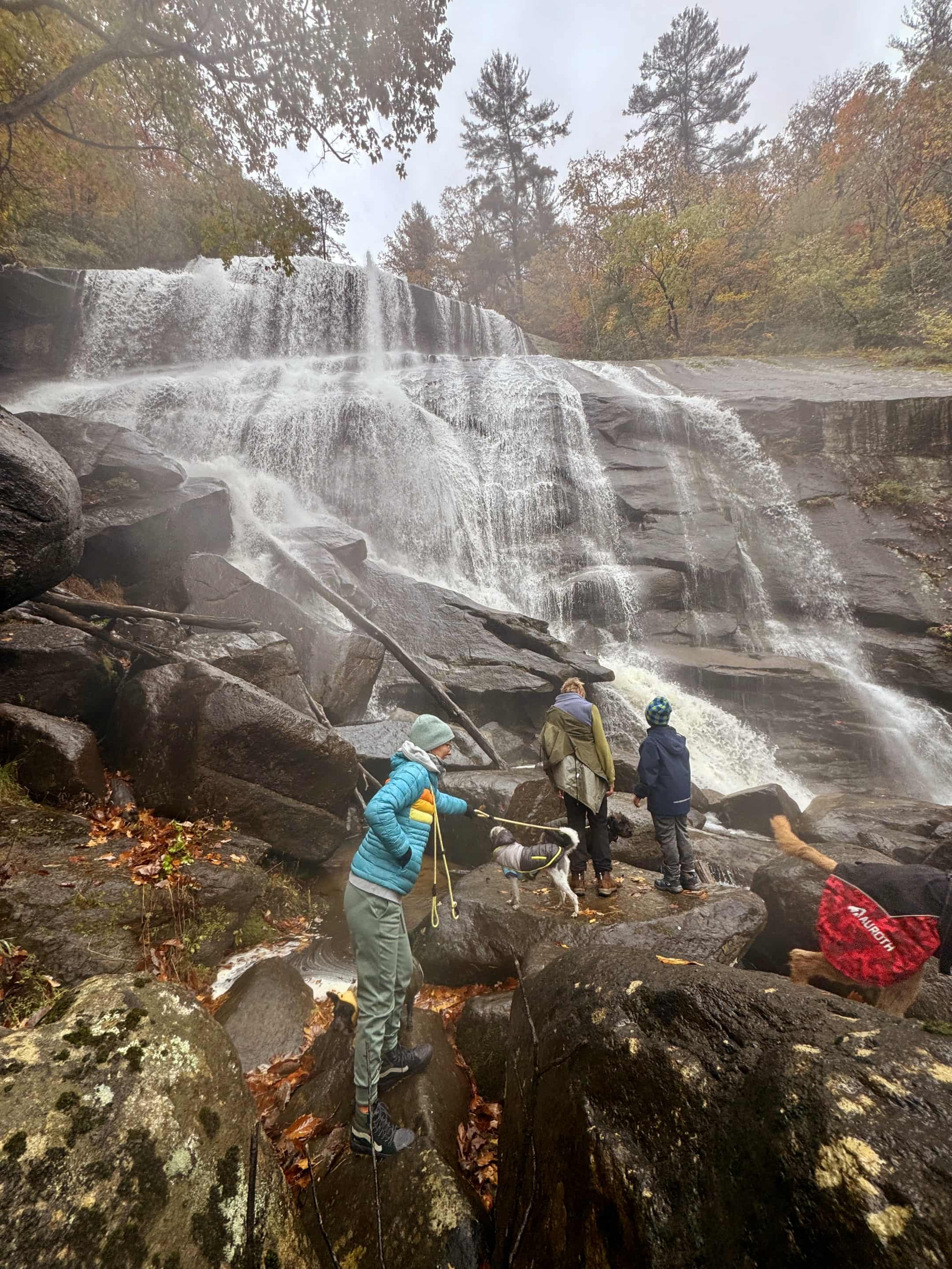 Secluded Waterfall Haven