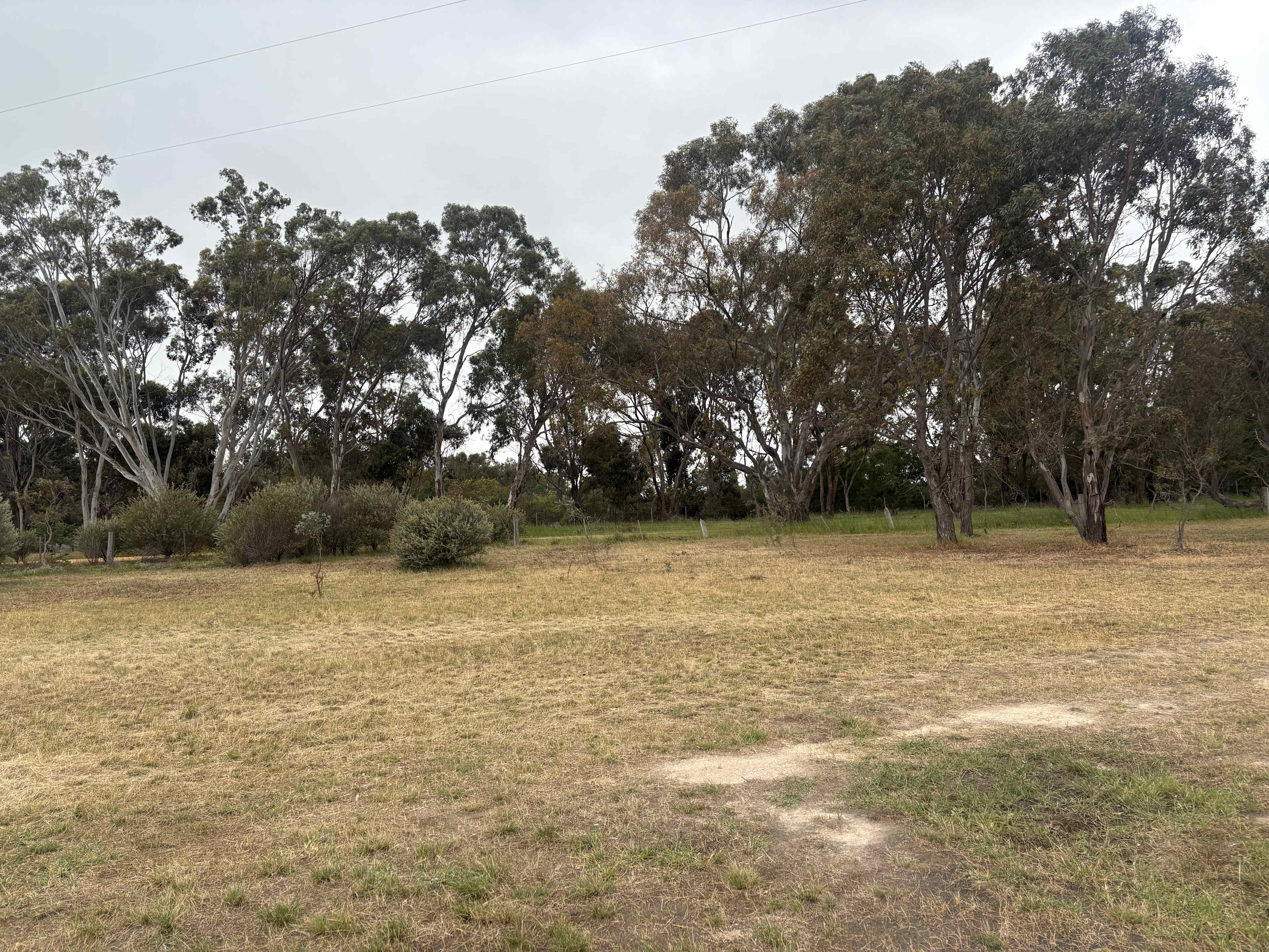 BellMill Farm - Grampians Highlands