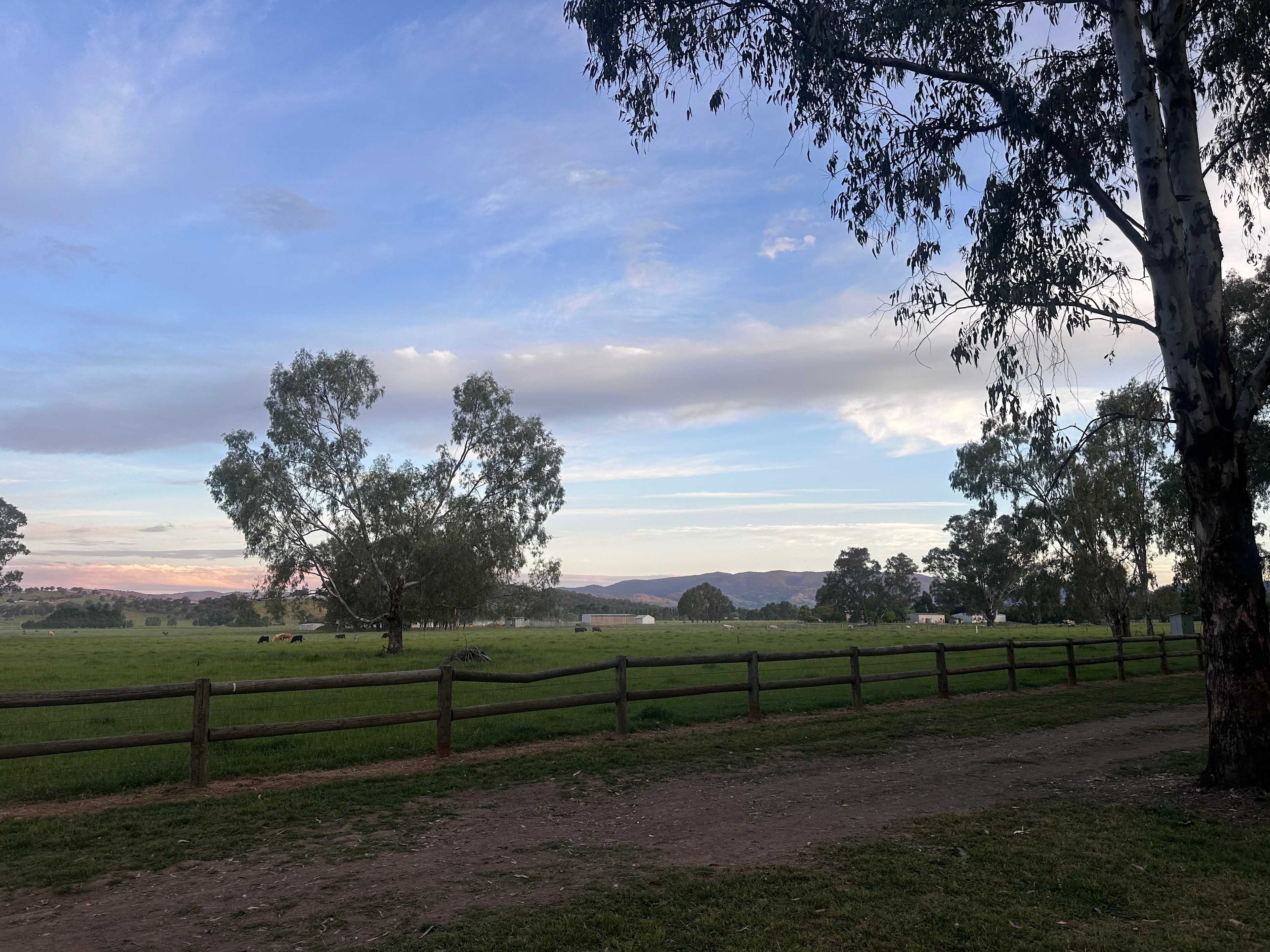 Bahwidgee on Tumut River