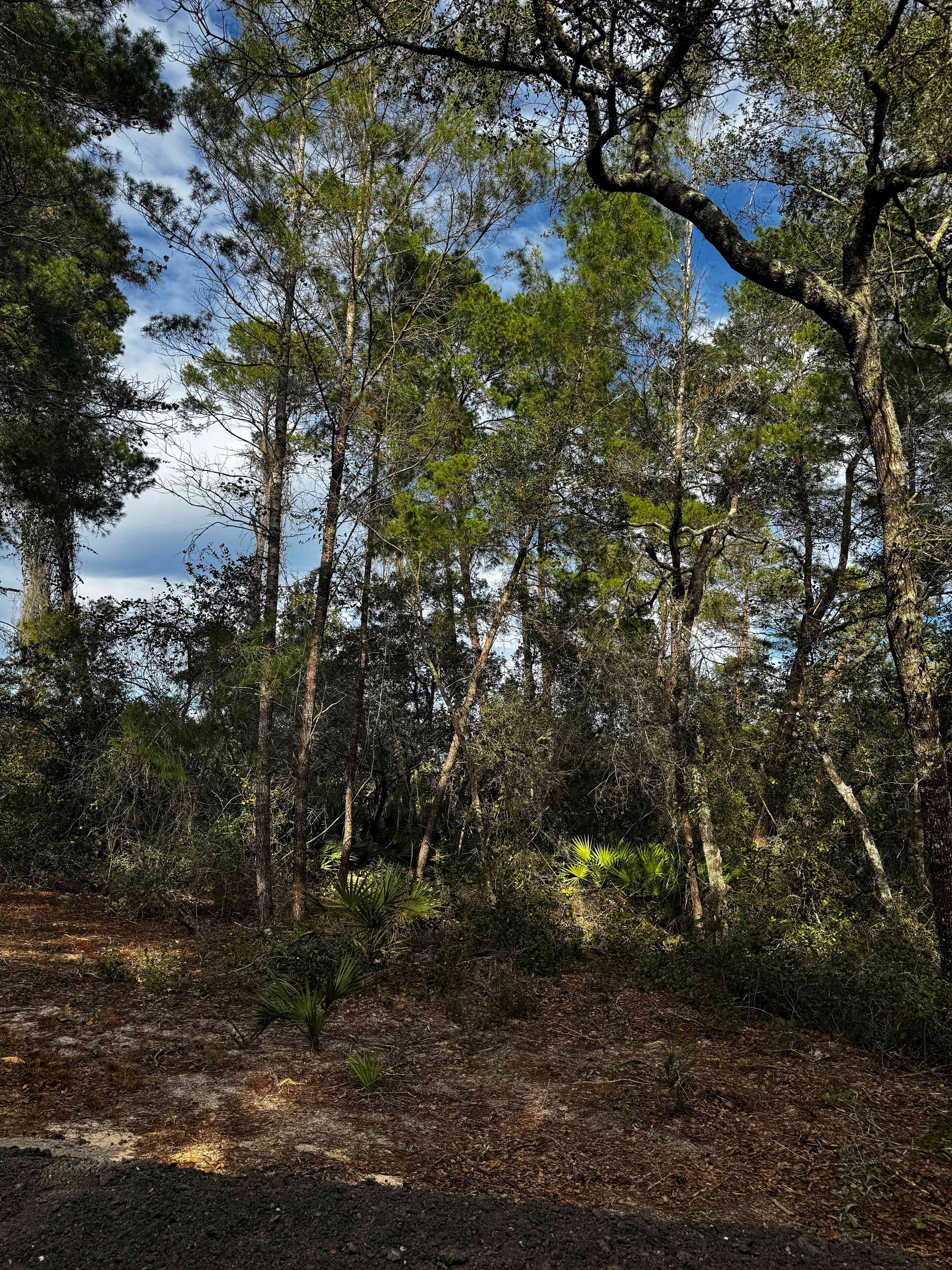 Rest Nest in Umatilla Florida
