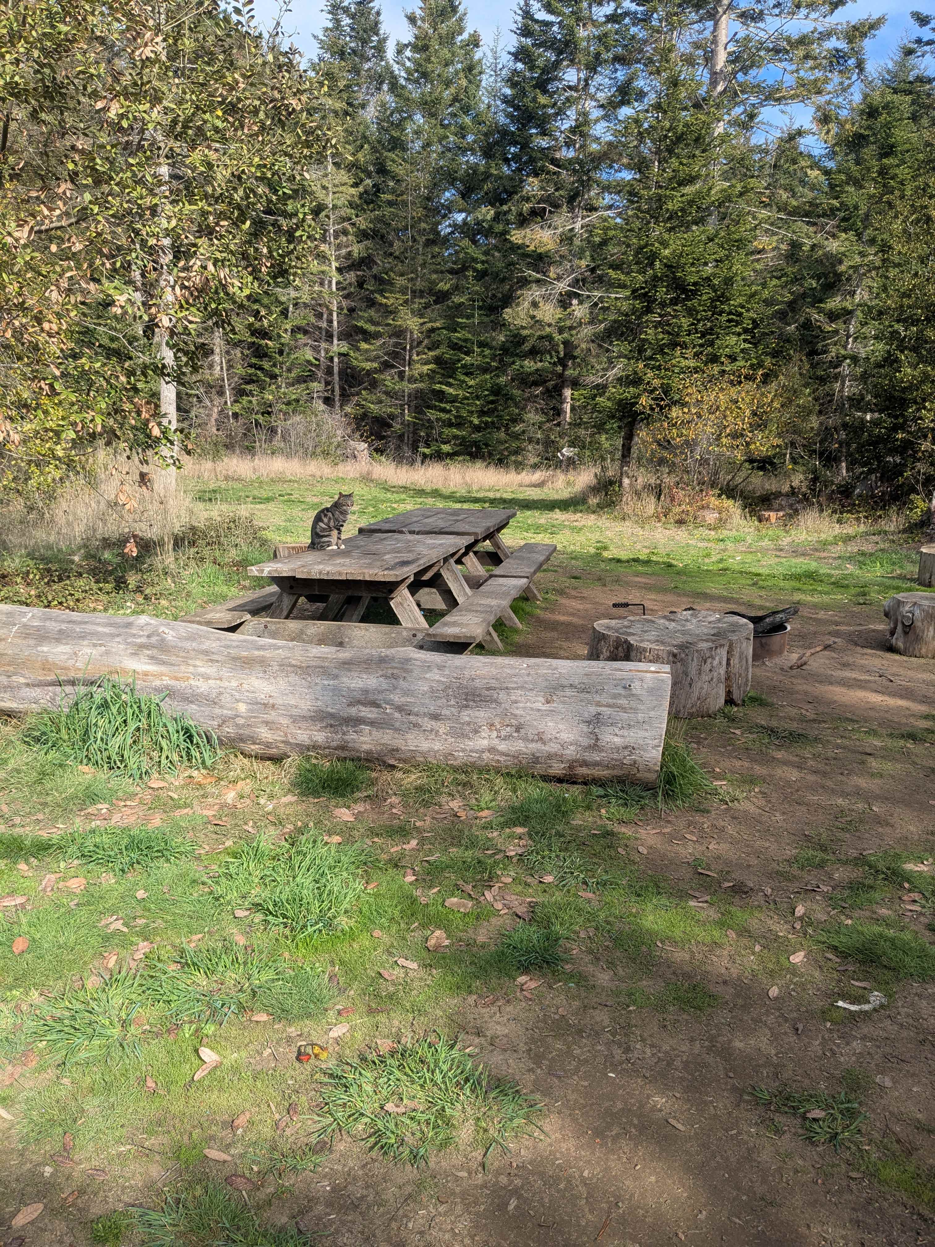 Jug Handle Creek Nature Center