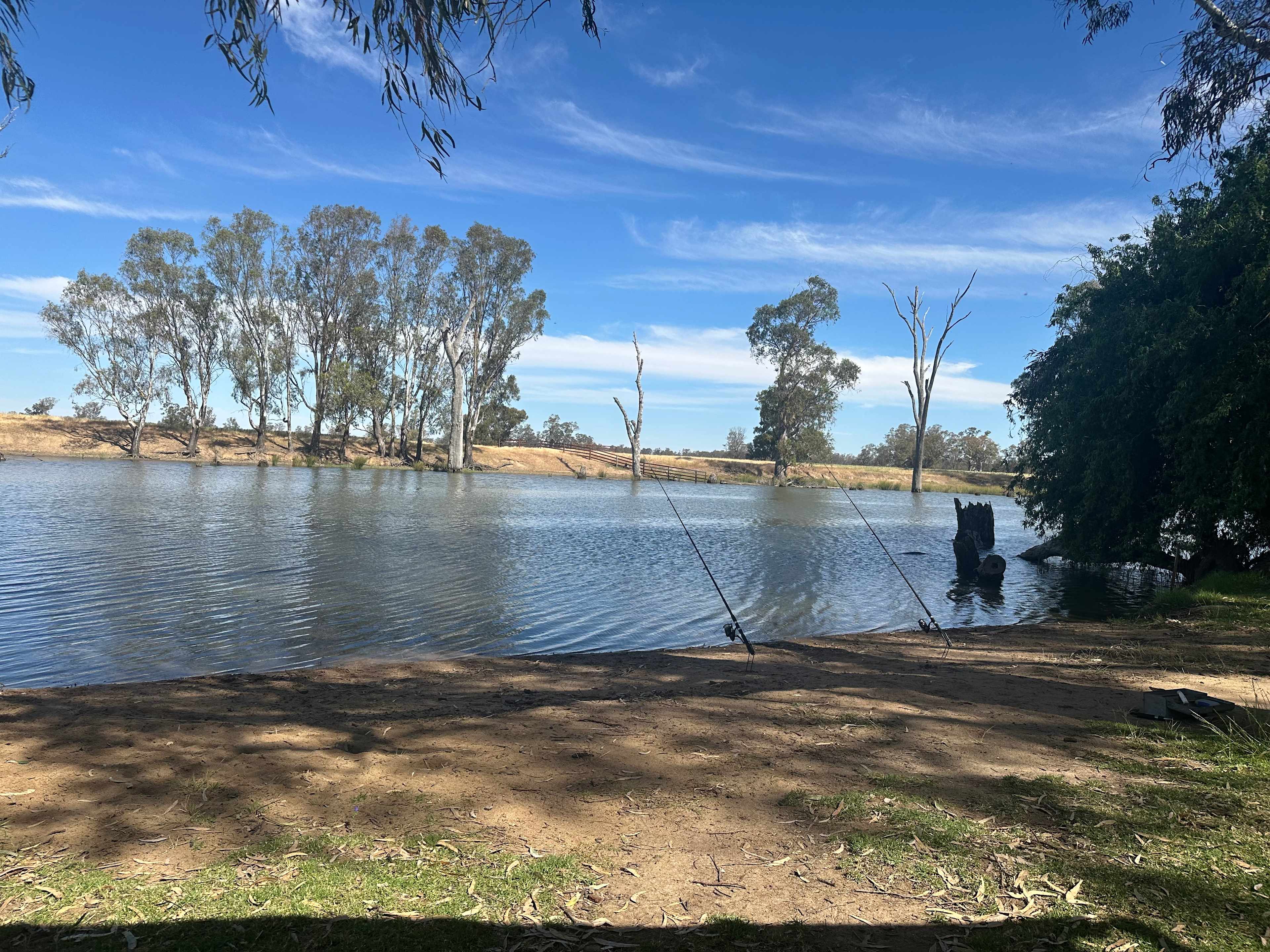 Cudgella on Bundidgerry Creek