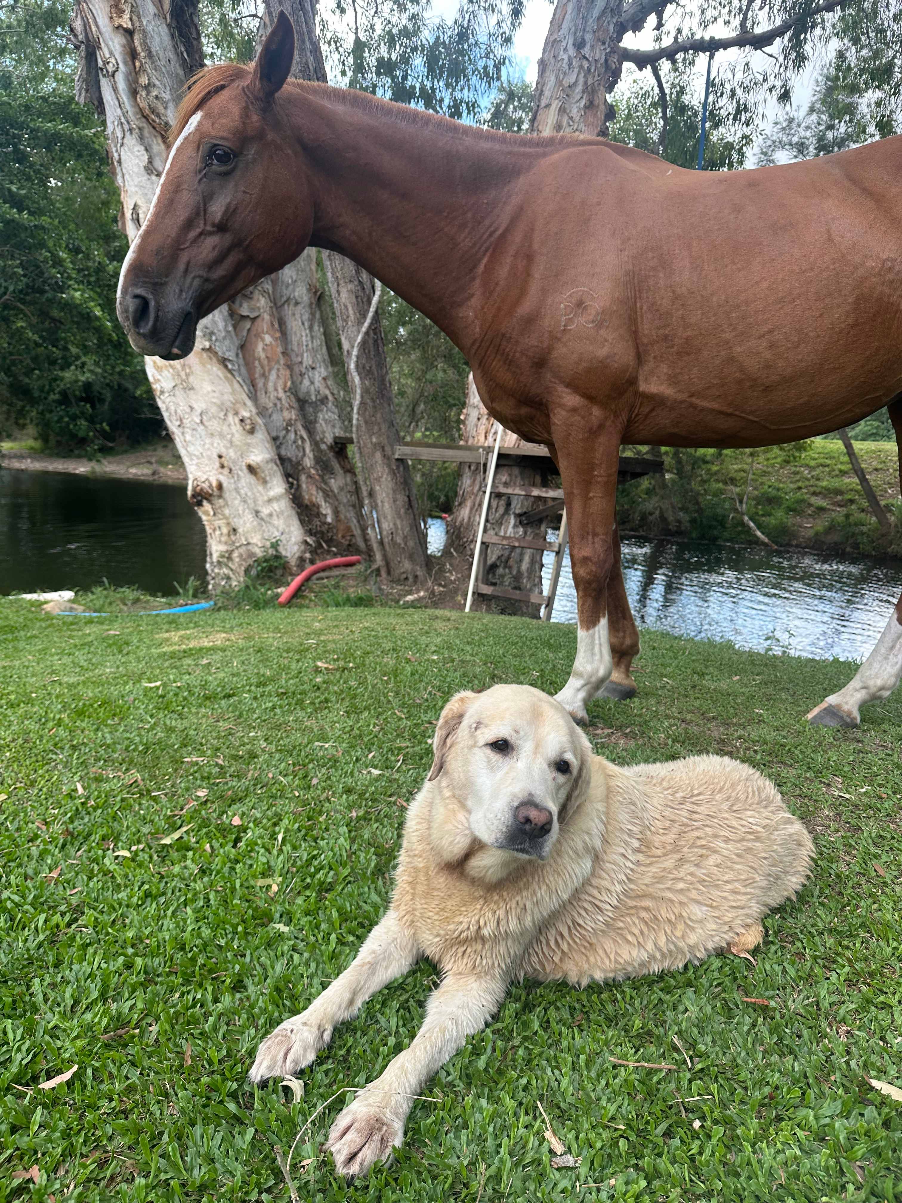 Ilbilbie Station Farm Stay