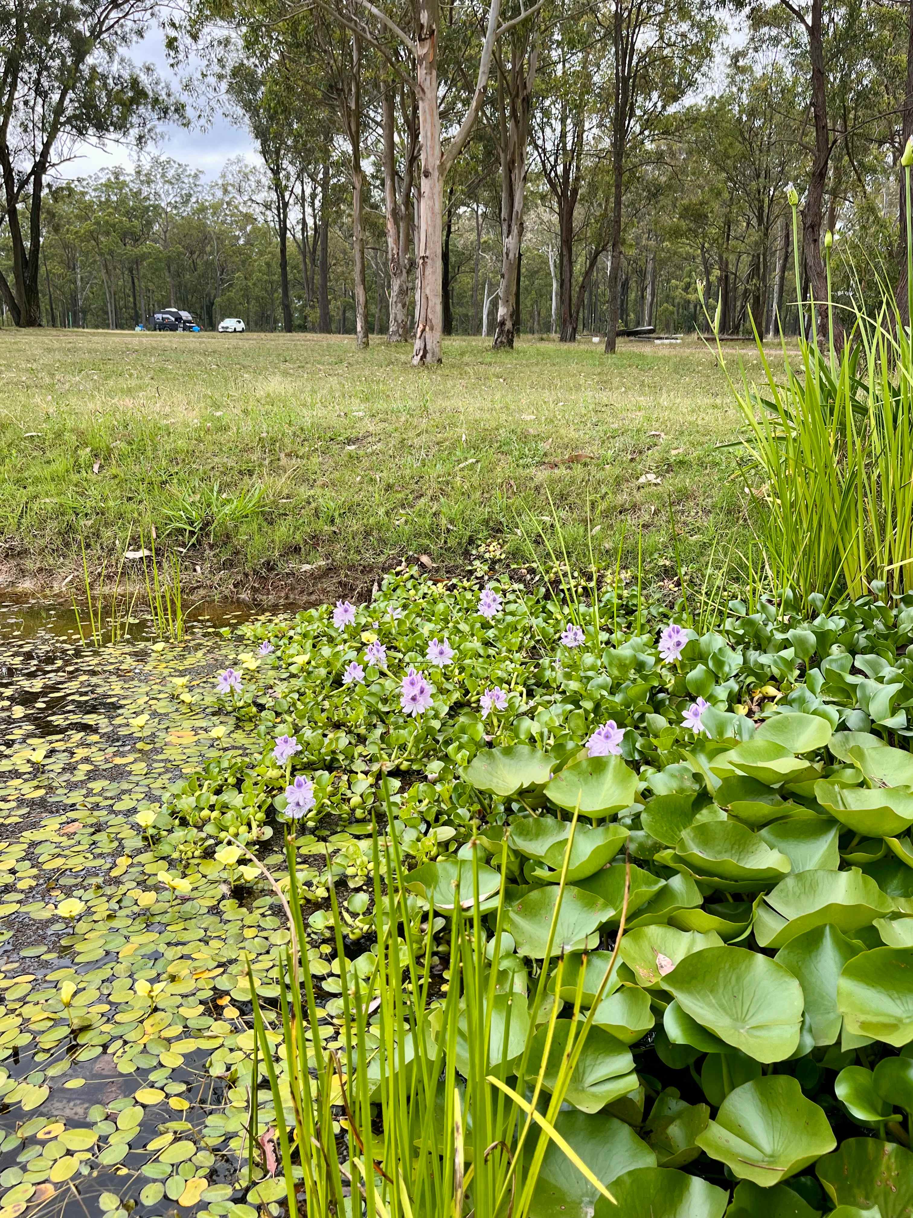 Doorstep to the Vineyards No 1