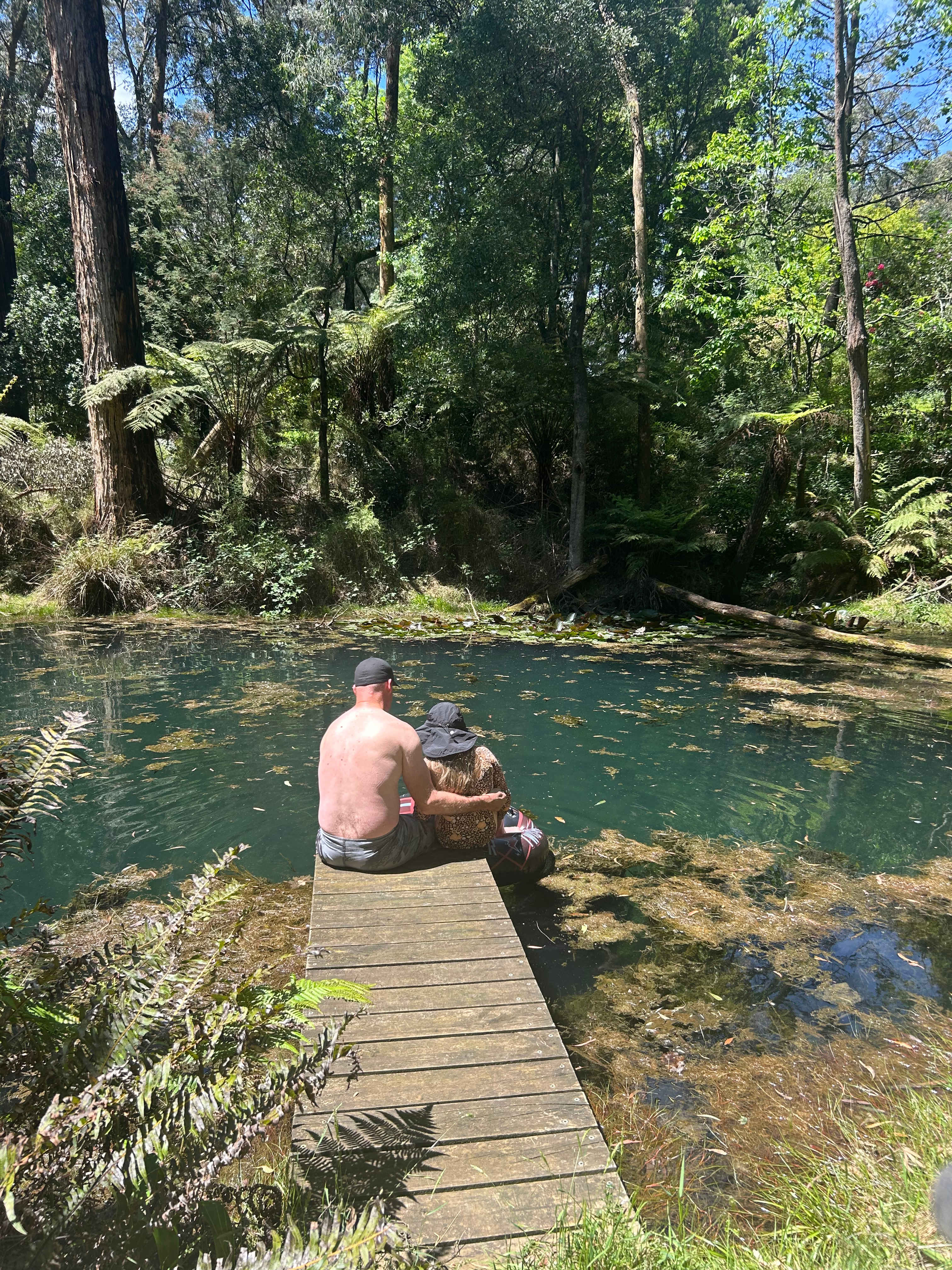 Toolangi Springwater Forest Camp