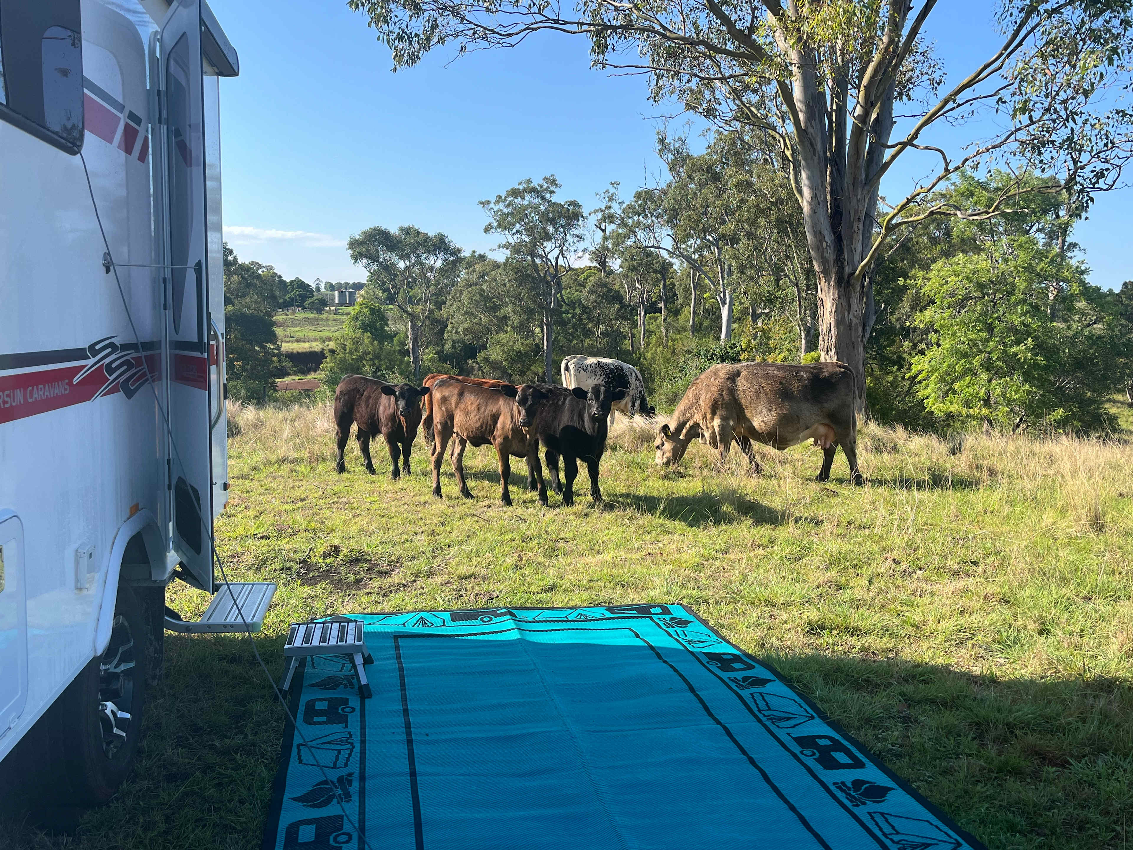 Empty Pockets creek-side Farm Stay