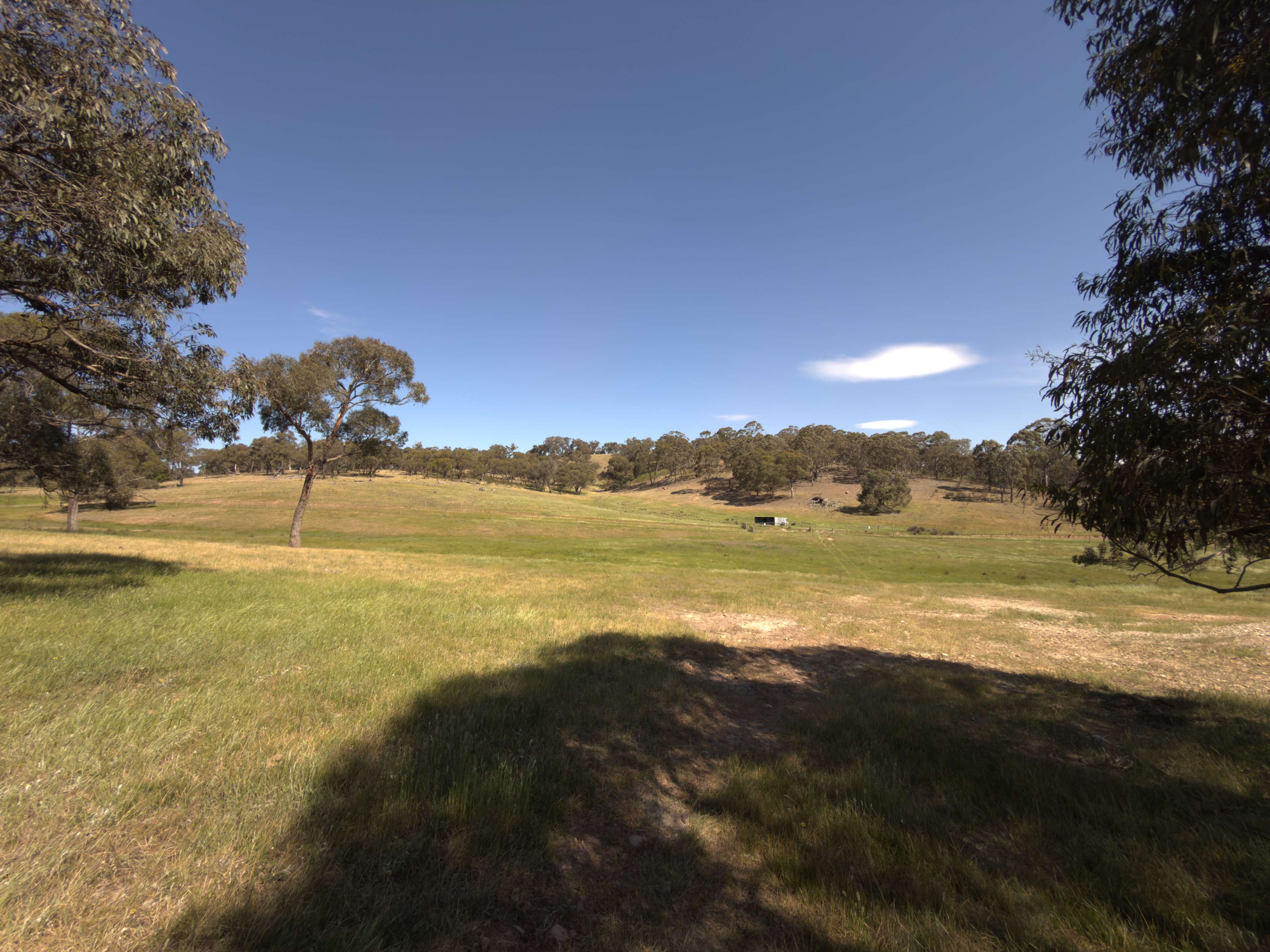 Seven Hills Tallarook