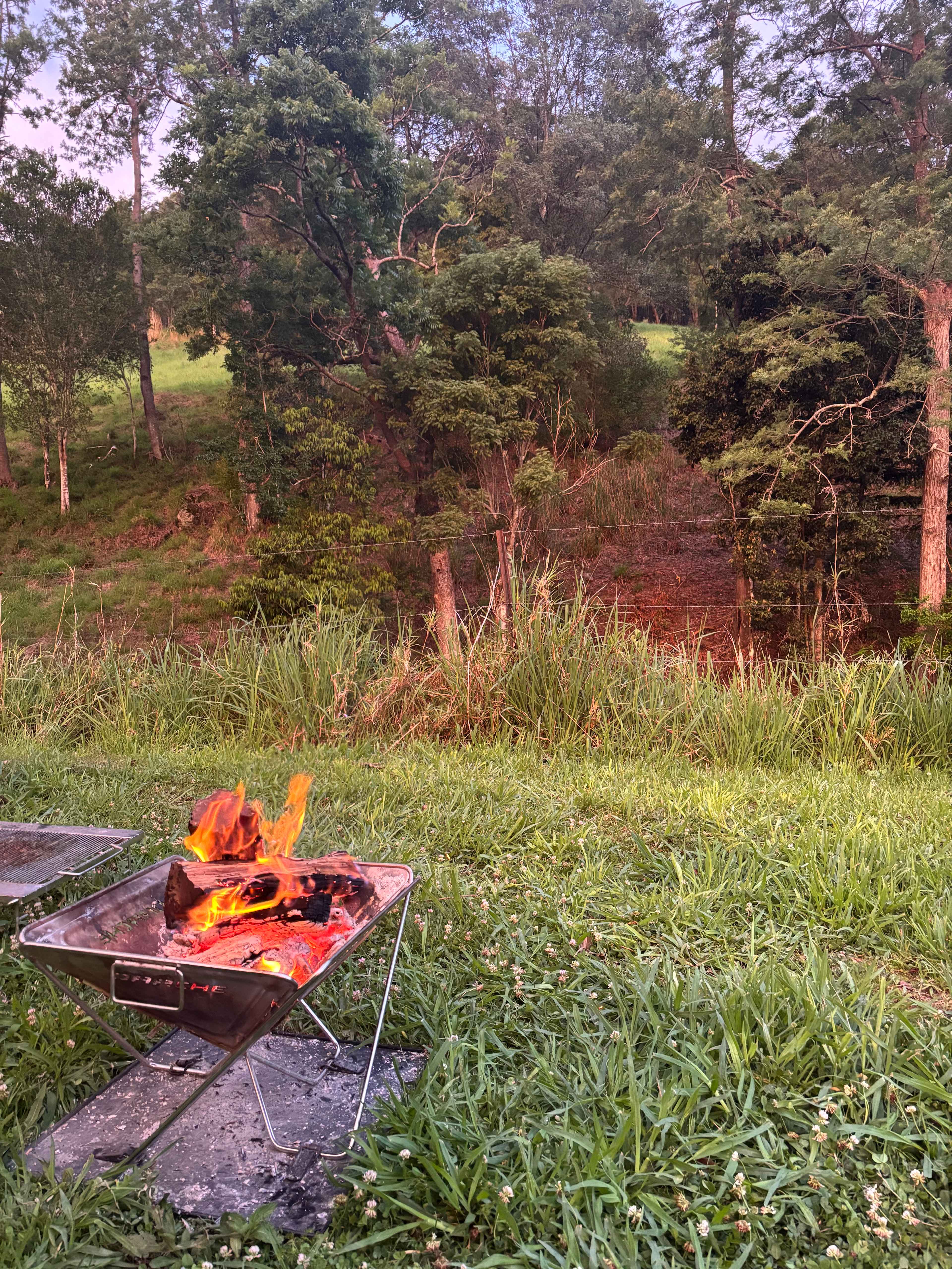McKenzie Creek Campsite