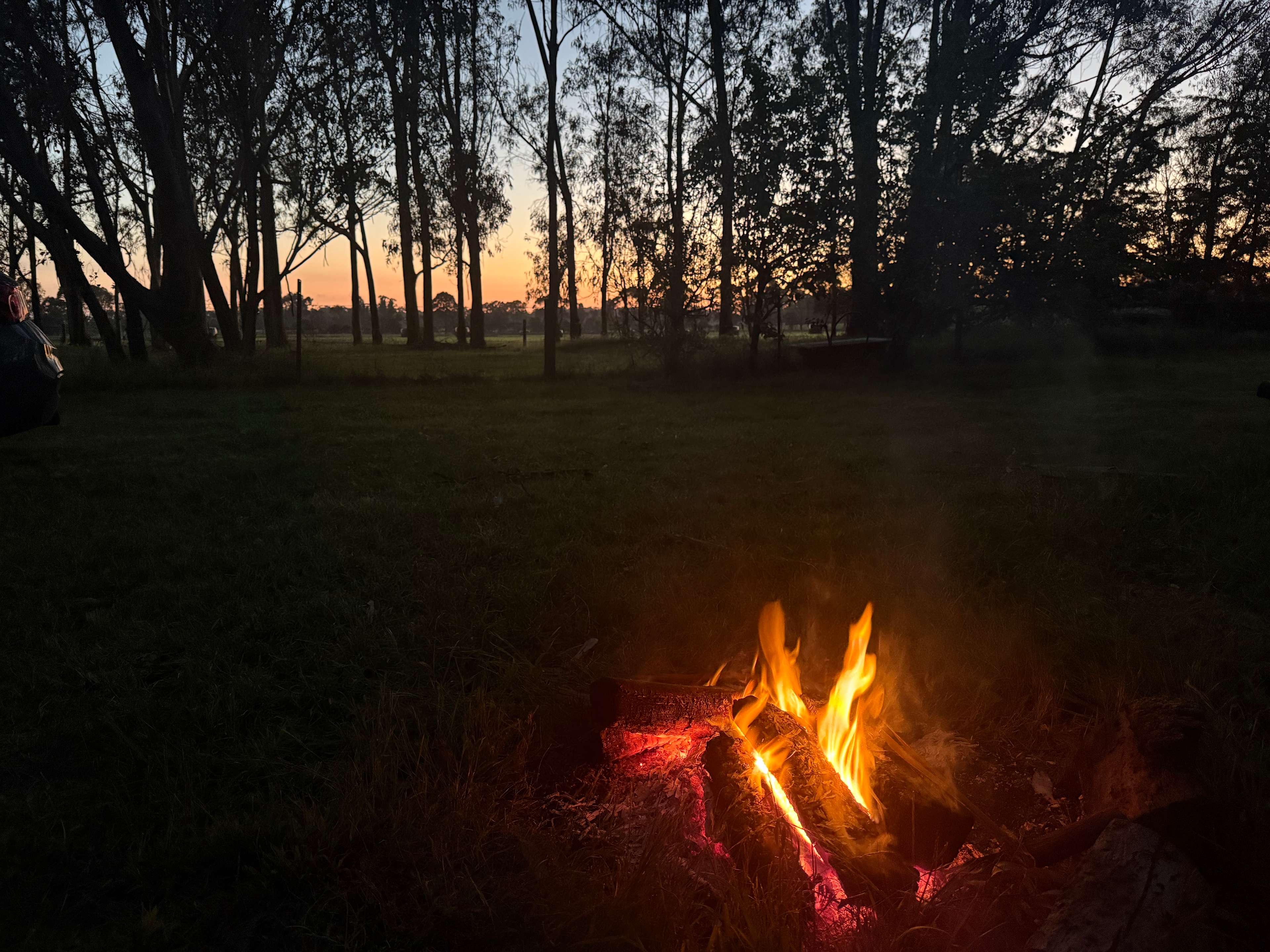 Hedley Gardens and Bush Camp
