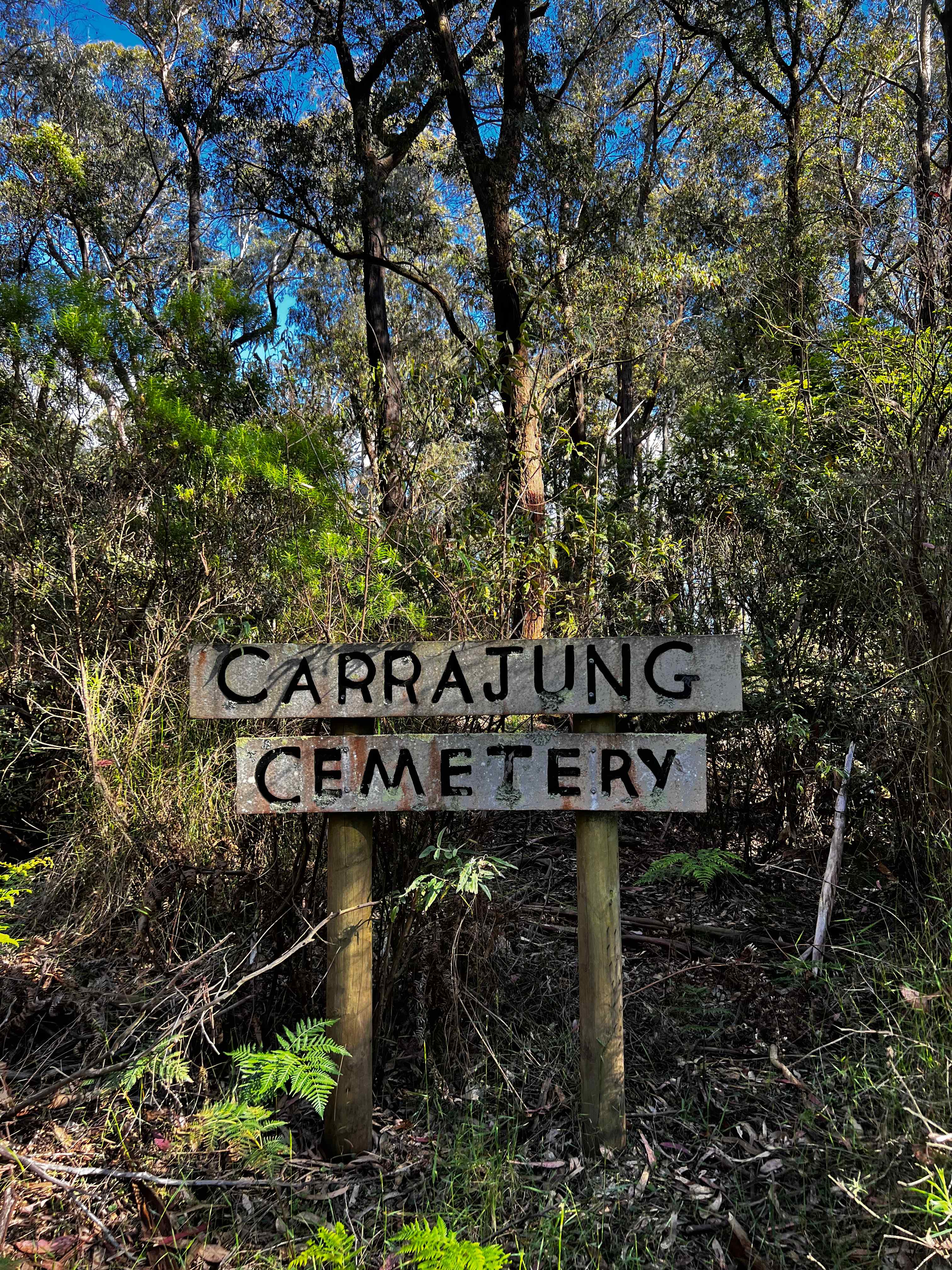 Stumbled upon this one during our walk.