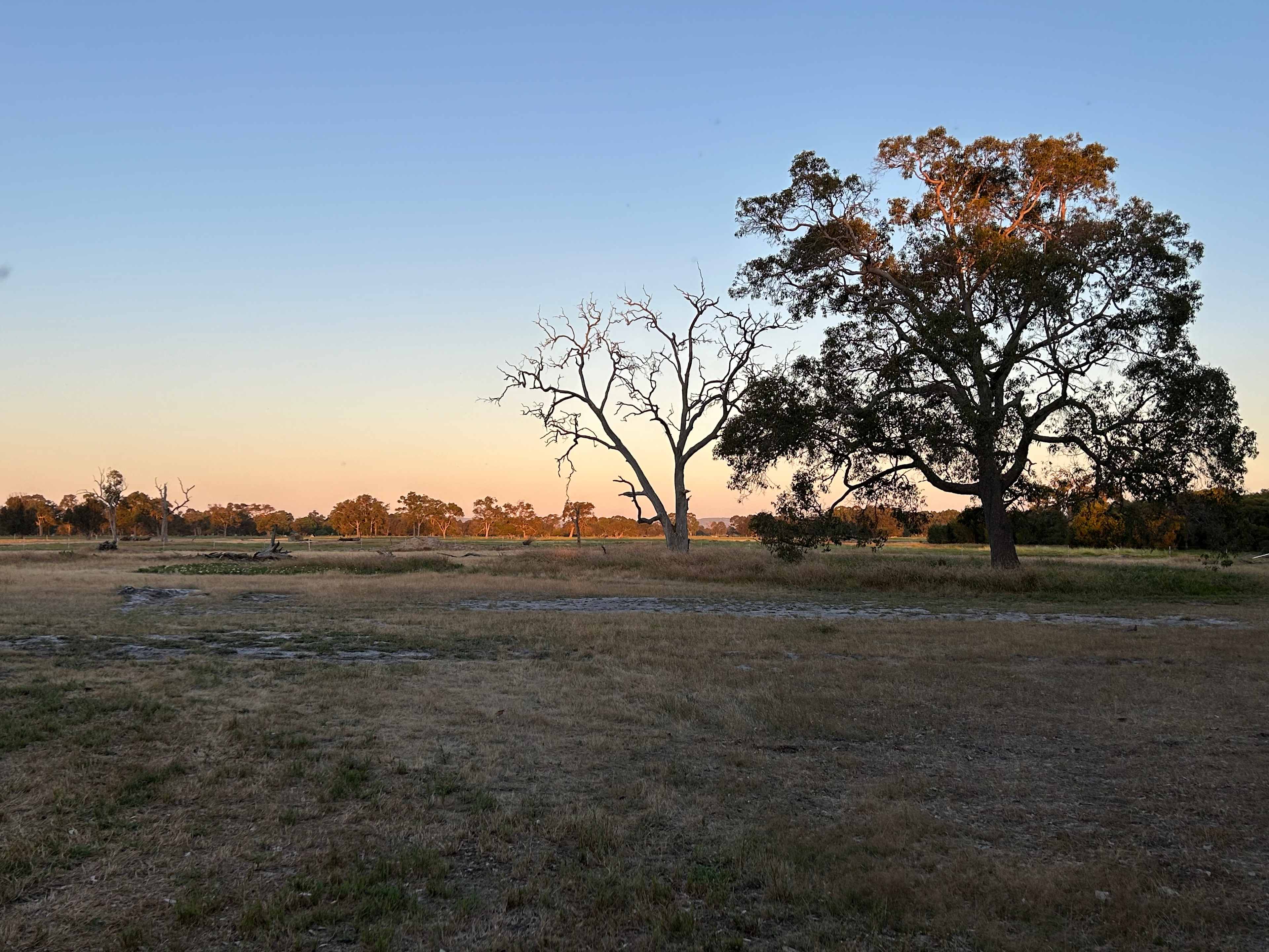 Herron Point Farm Stay