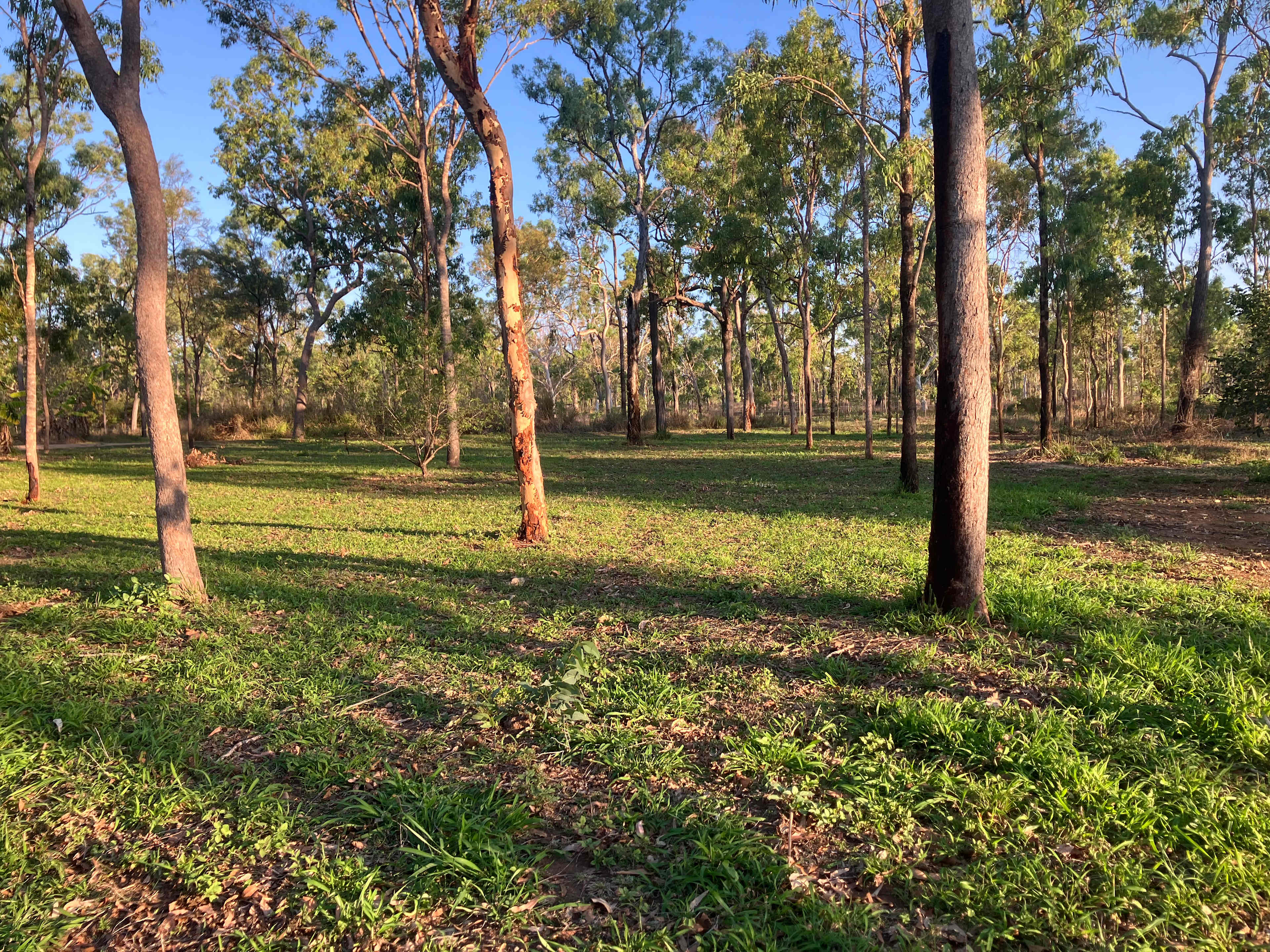 Archerview Farmstay-Wild River Camp