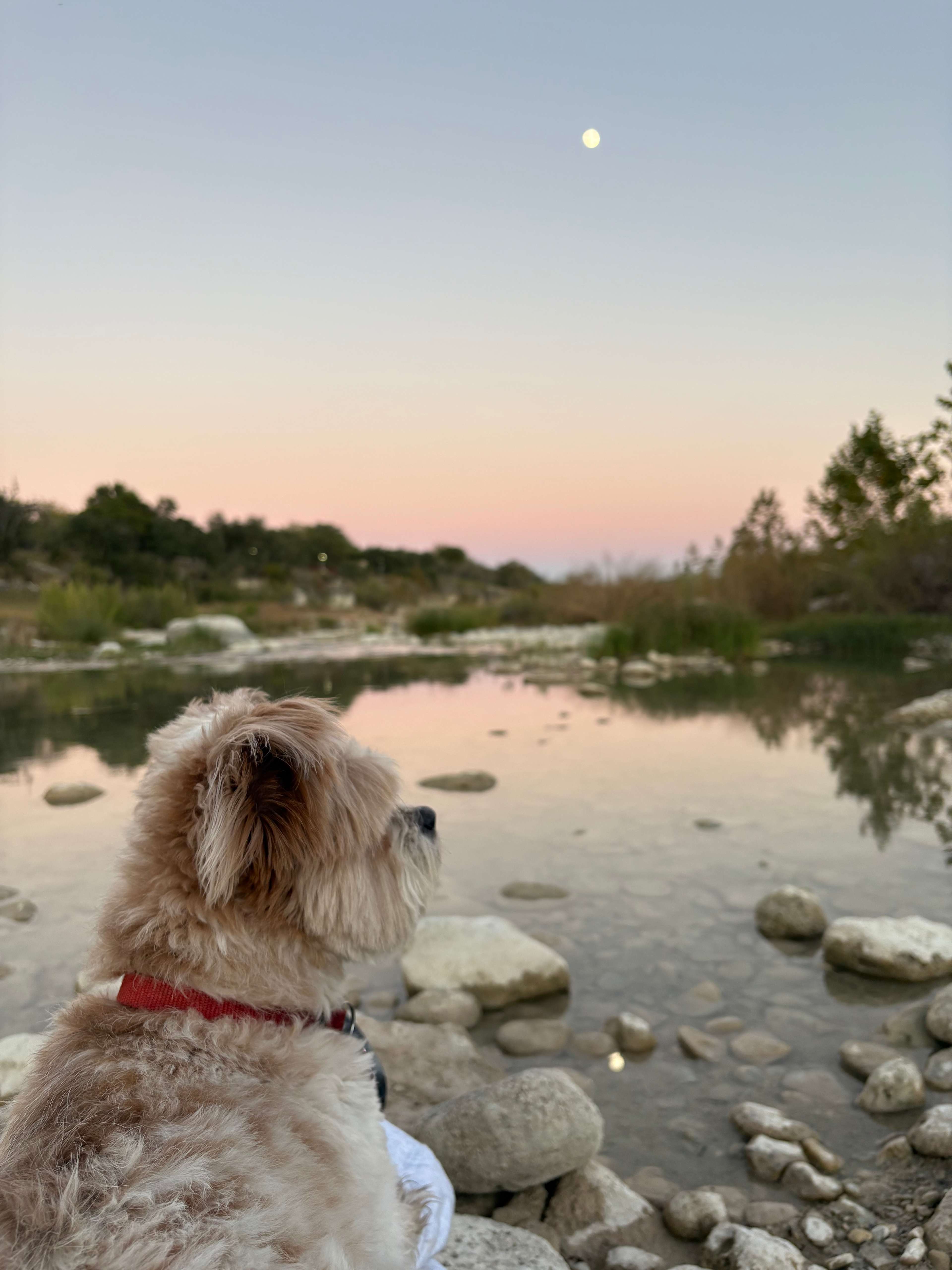 Boulderdash Cabin & Camping
