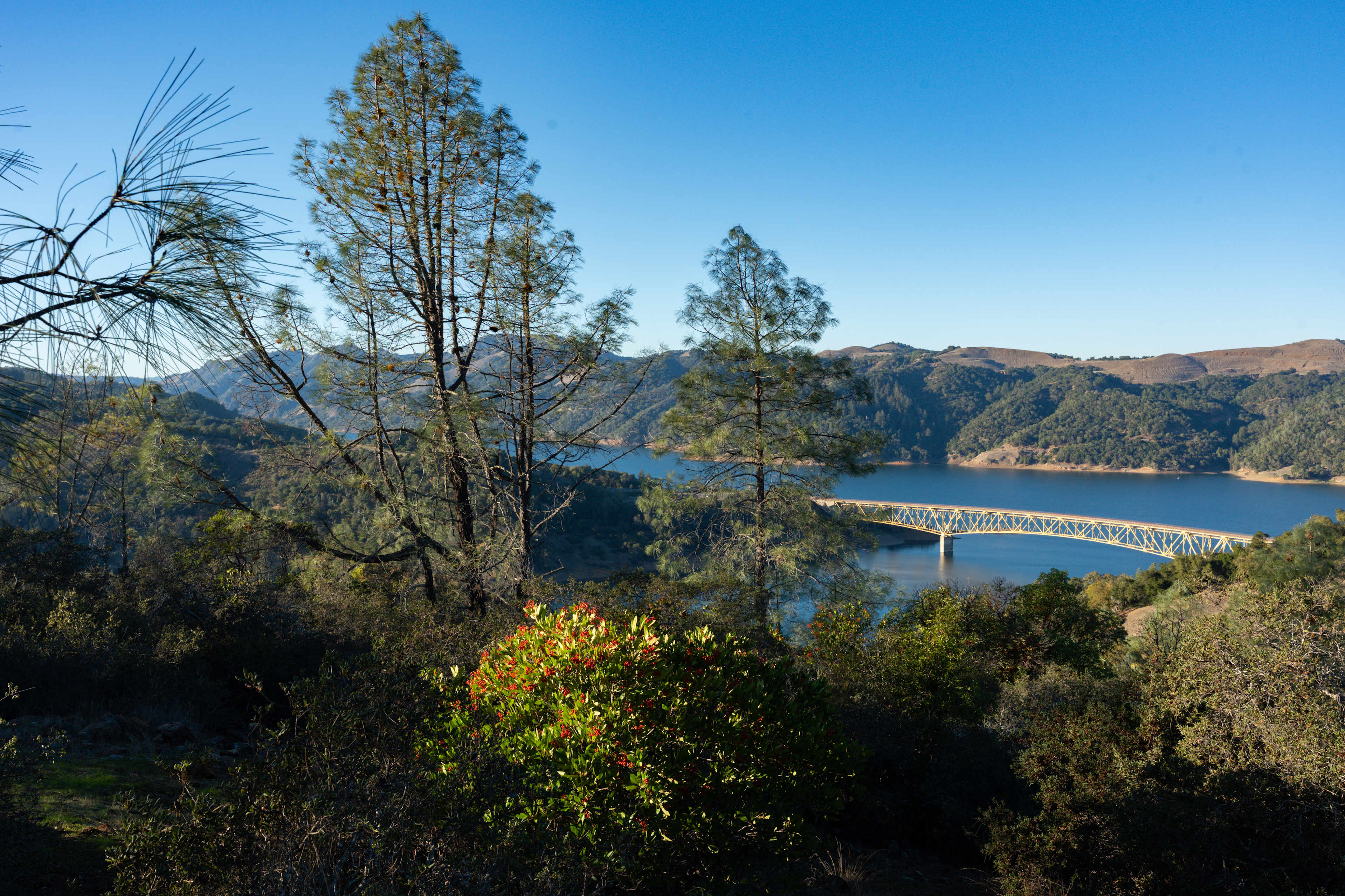 View from campsite 6