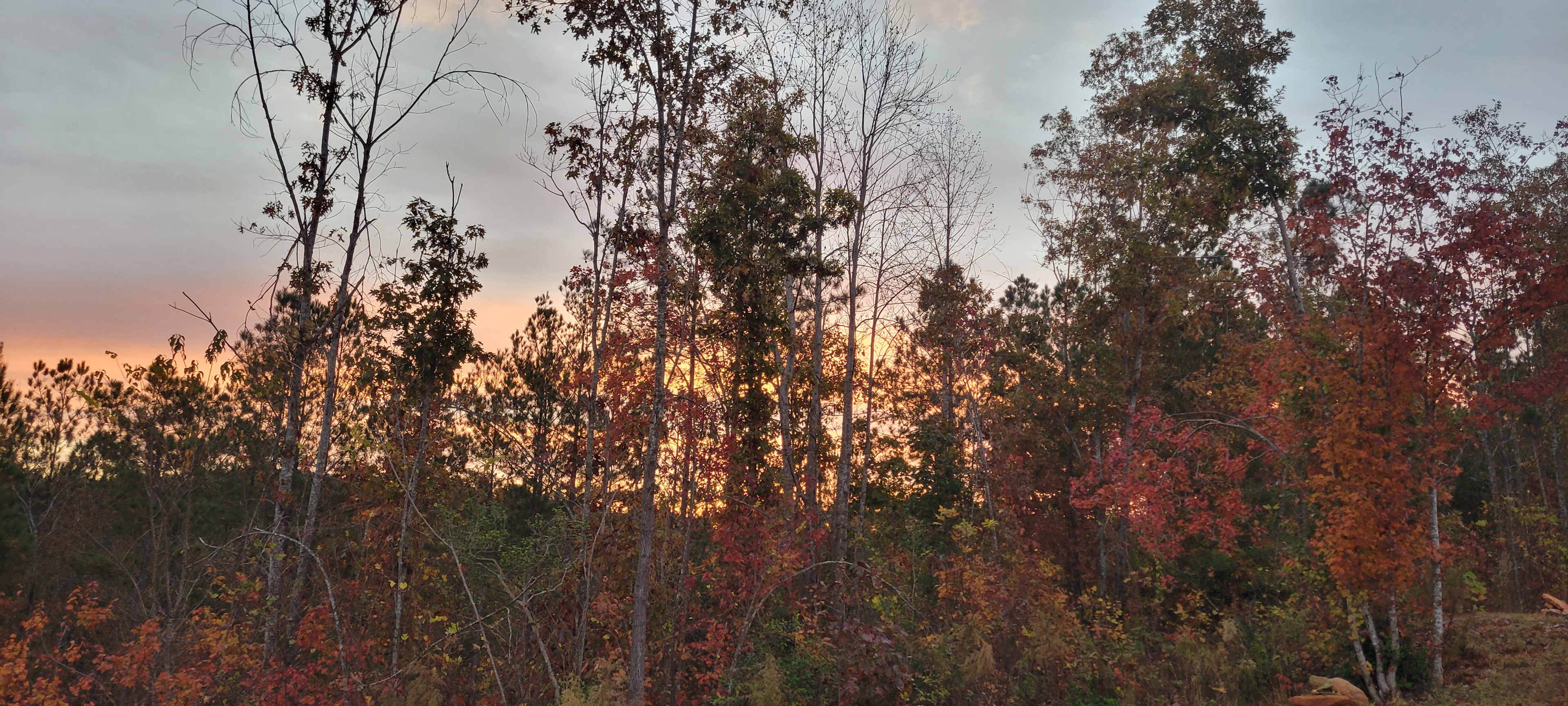Tellurian Family Campground