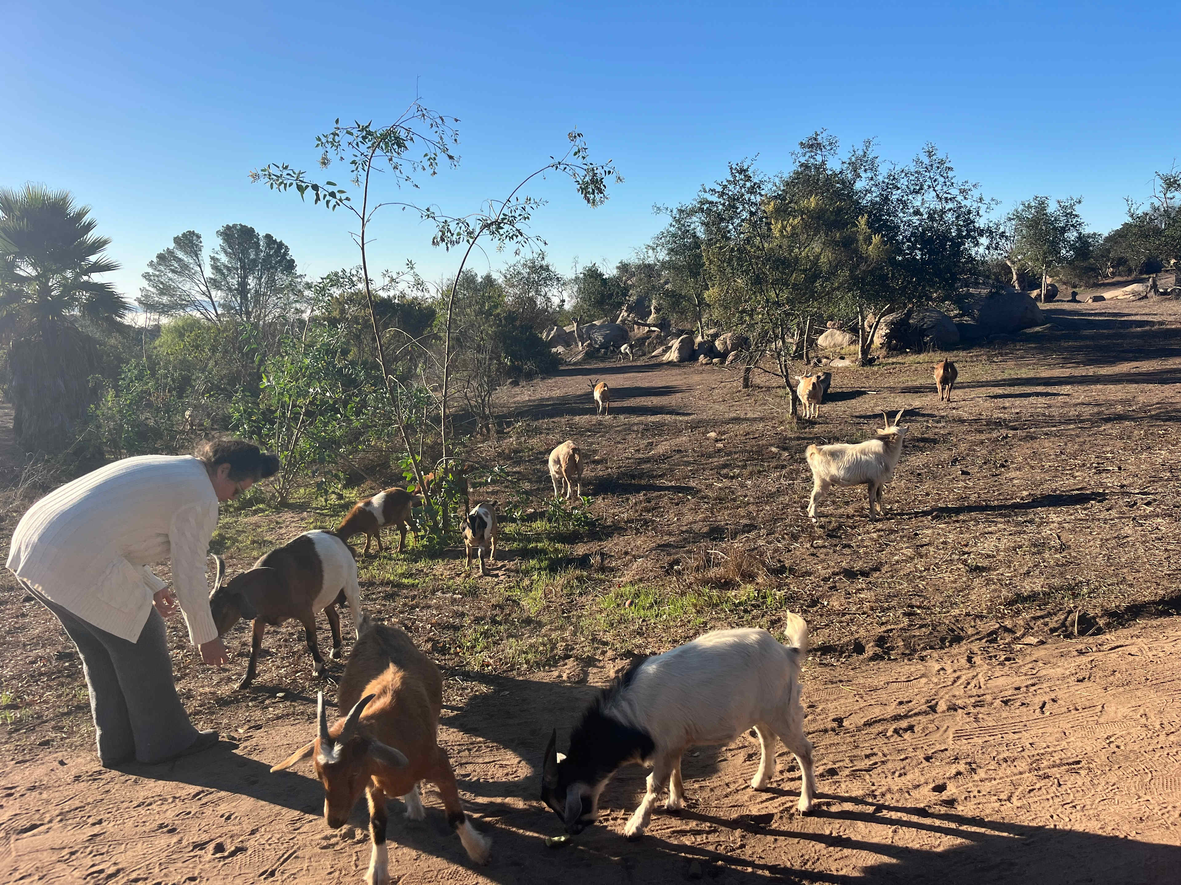 Splitrock Farm and Retreat