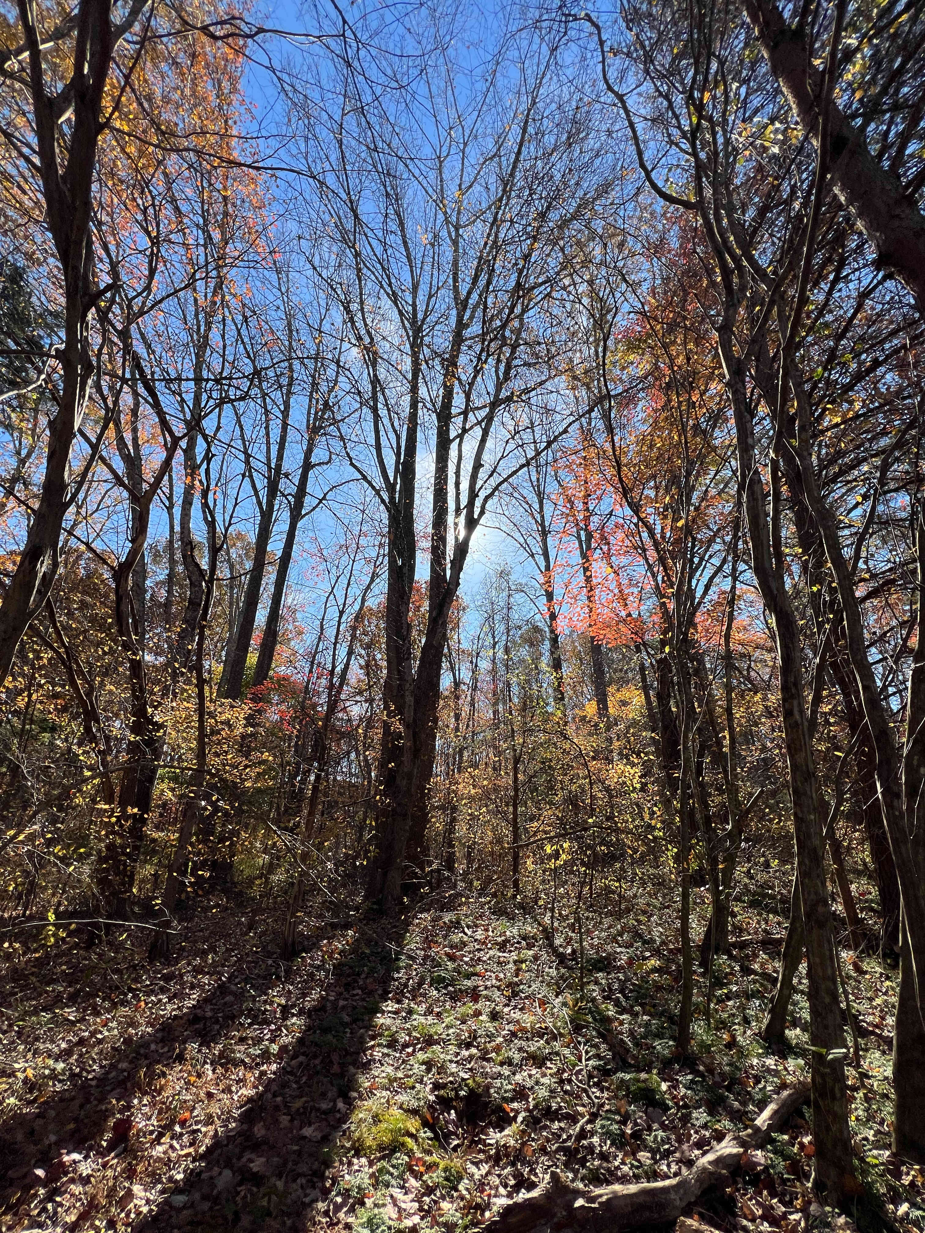 2nd40 to 420 - The Farm