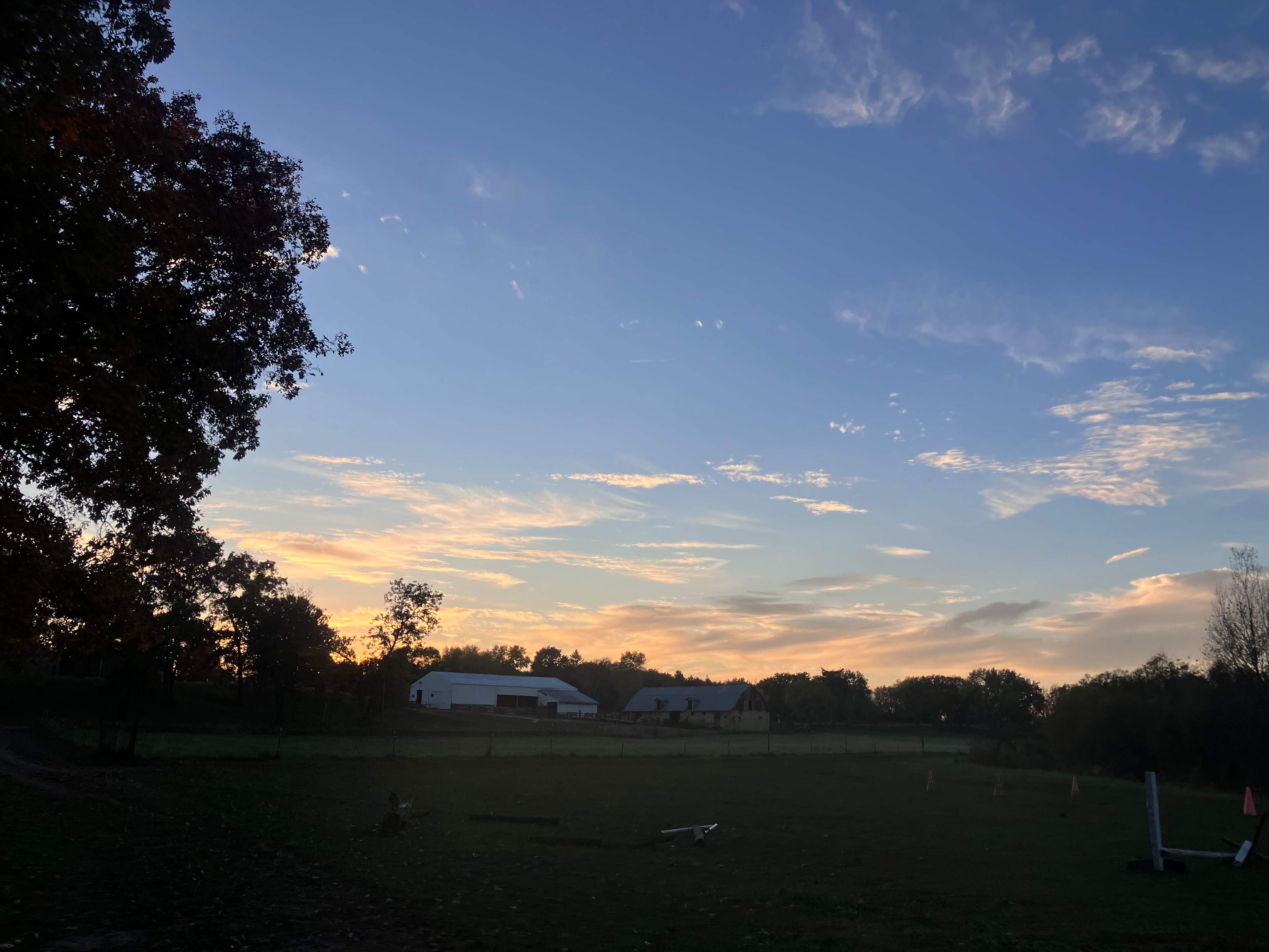 Millbrook Trail Rides