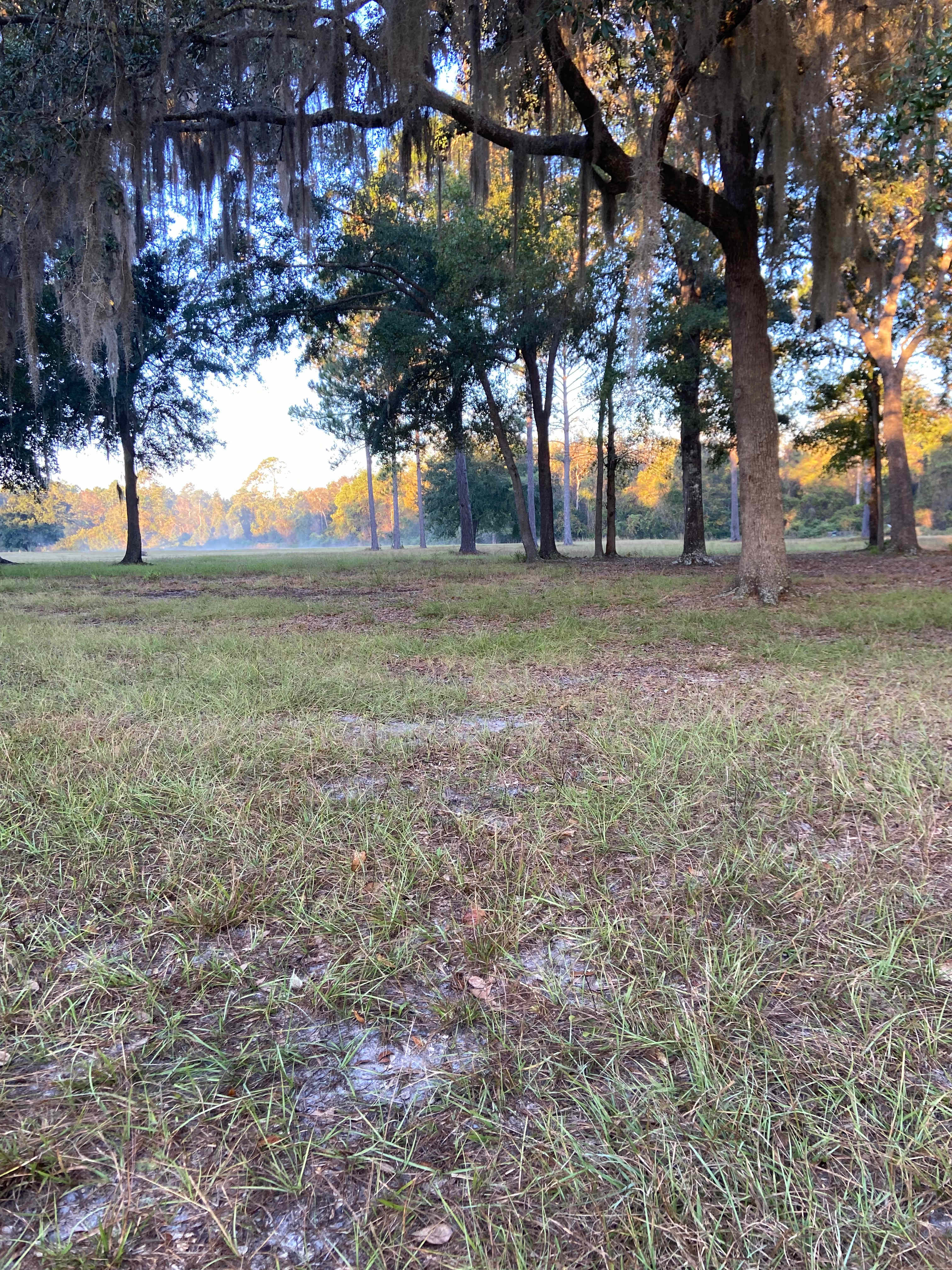 The Lodge at Hartley Oaks