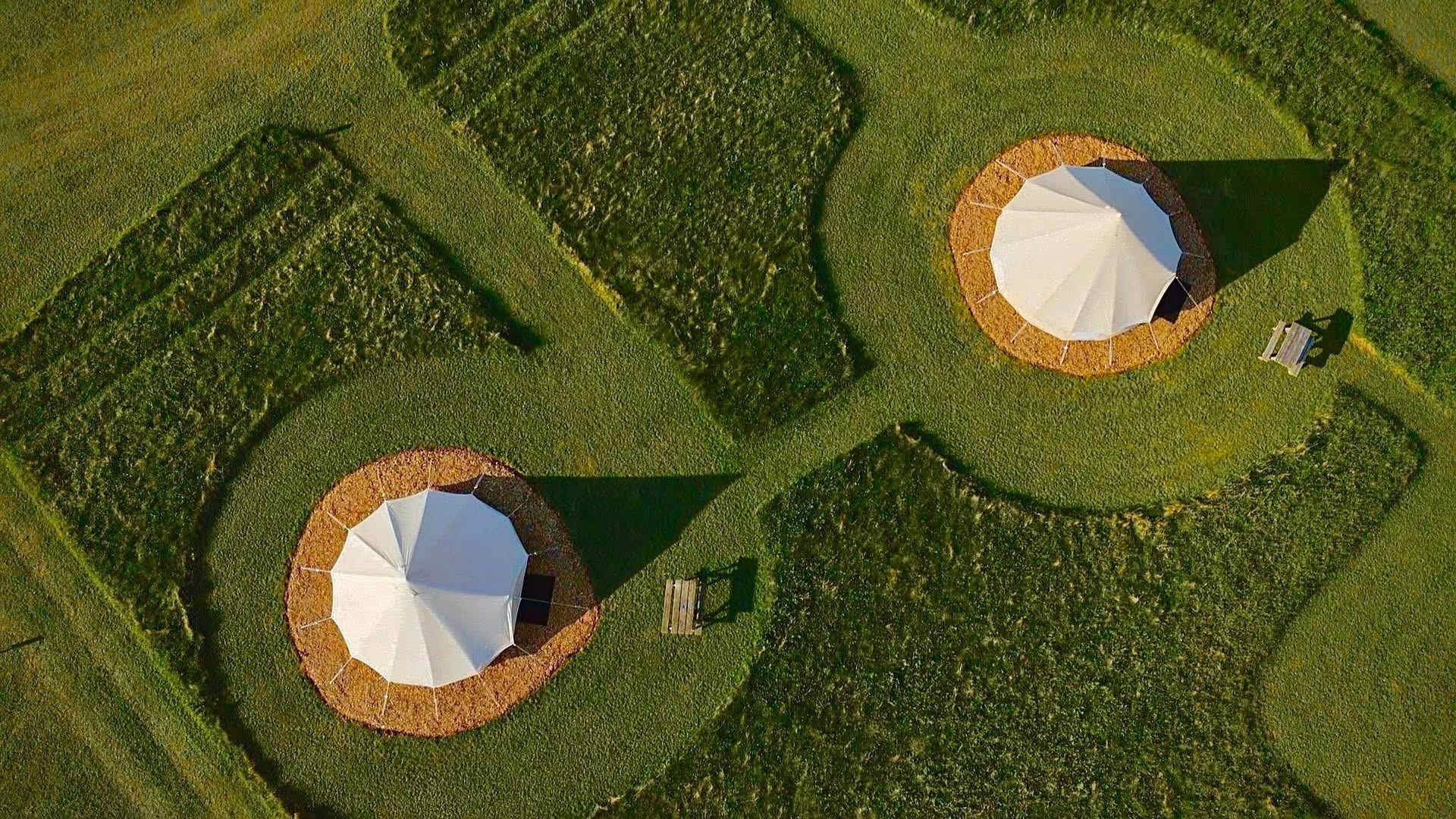 Forest Edge Camping & Glamping