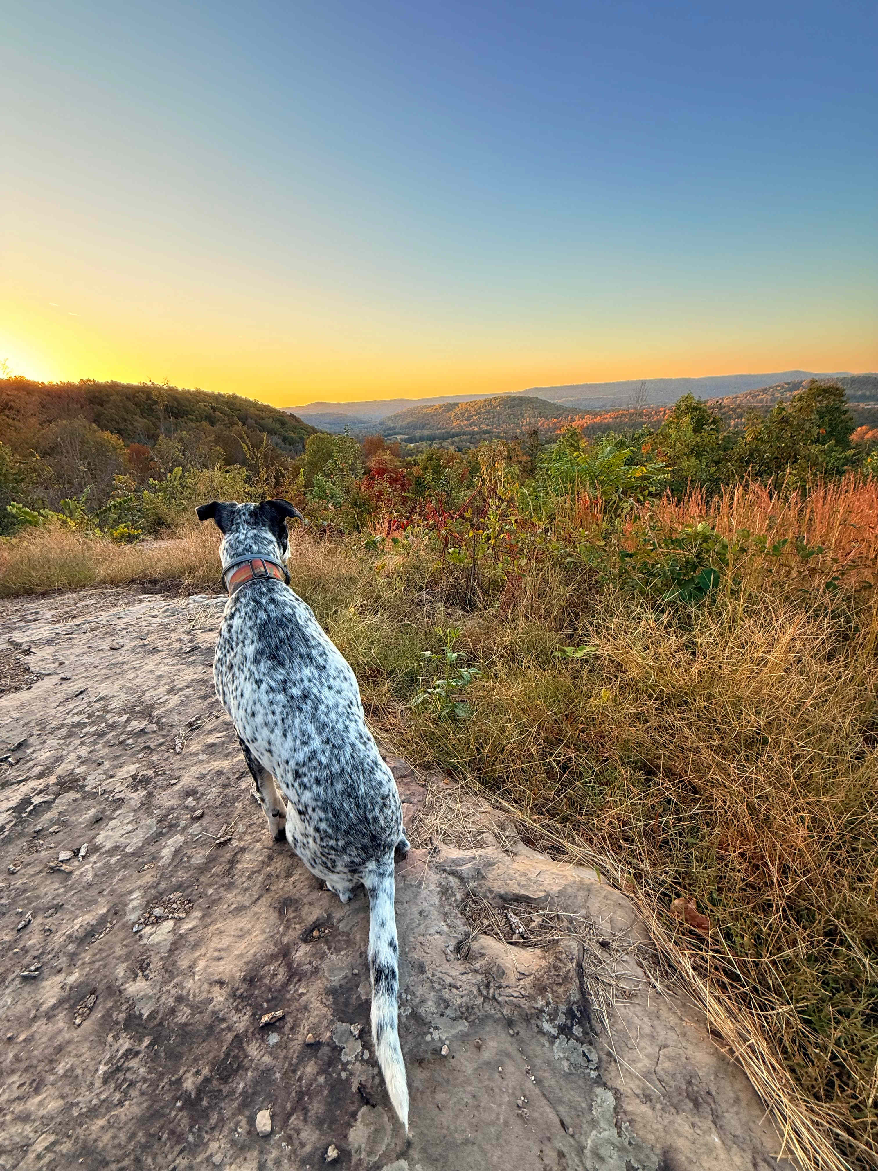 Mountainview Rock Island rv/tent