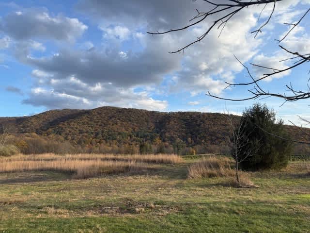 Peace & Quiet by the River!