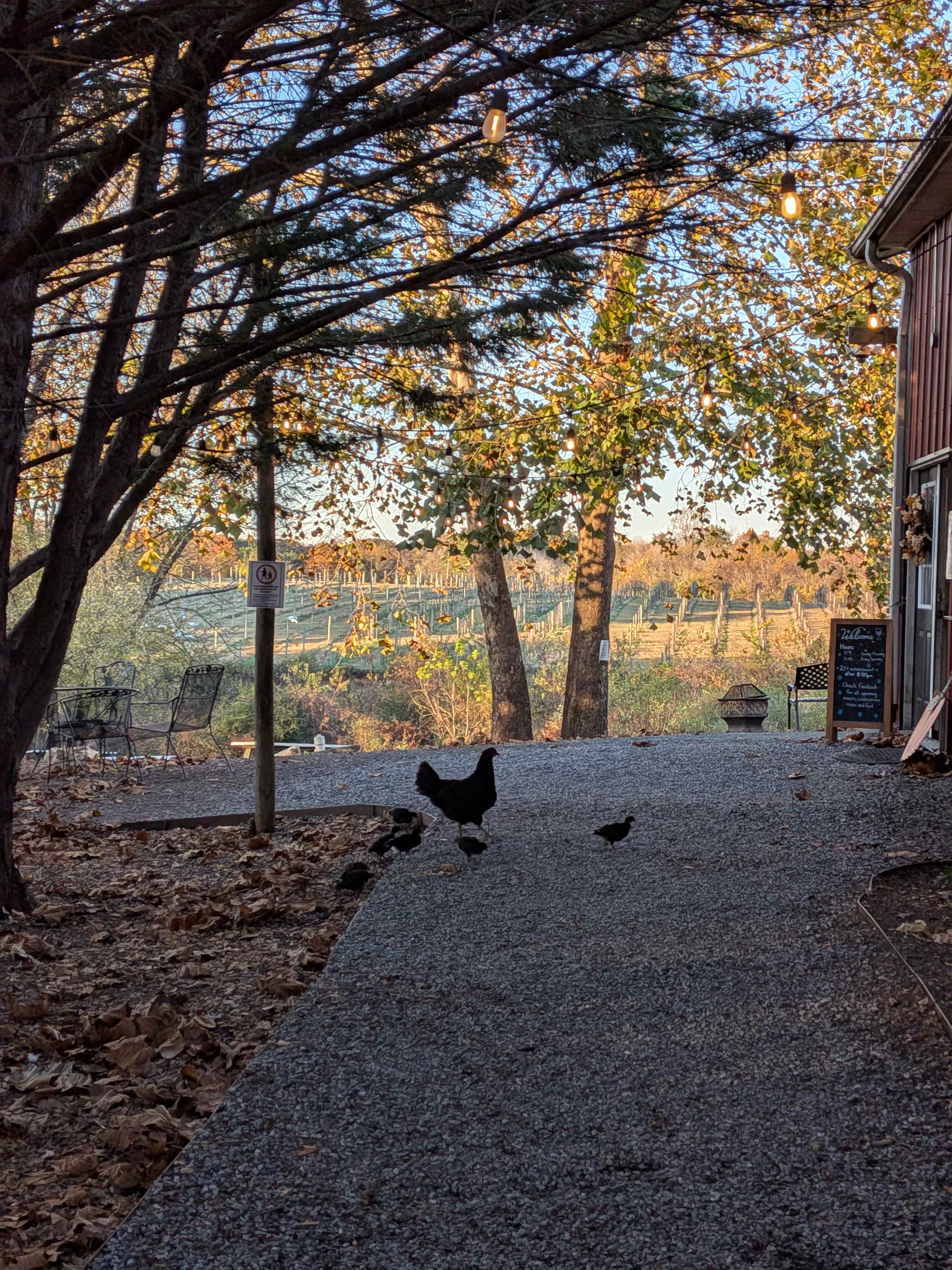 Camping at Wilderness Run