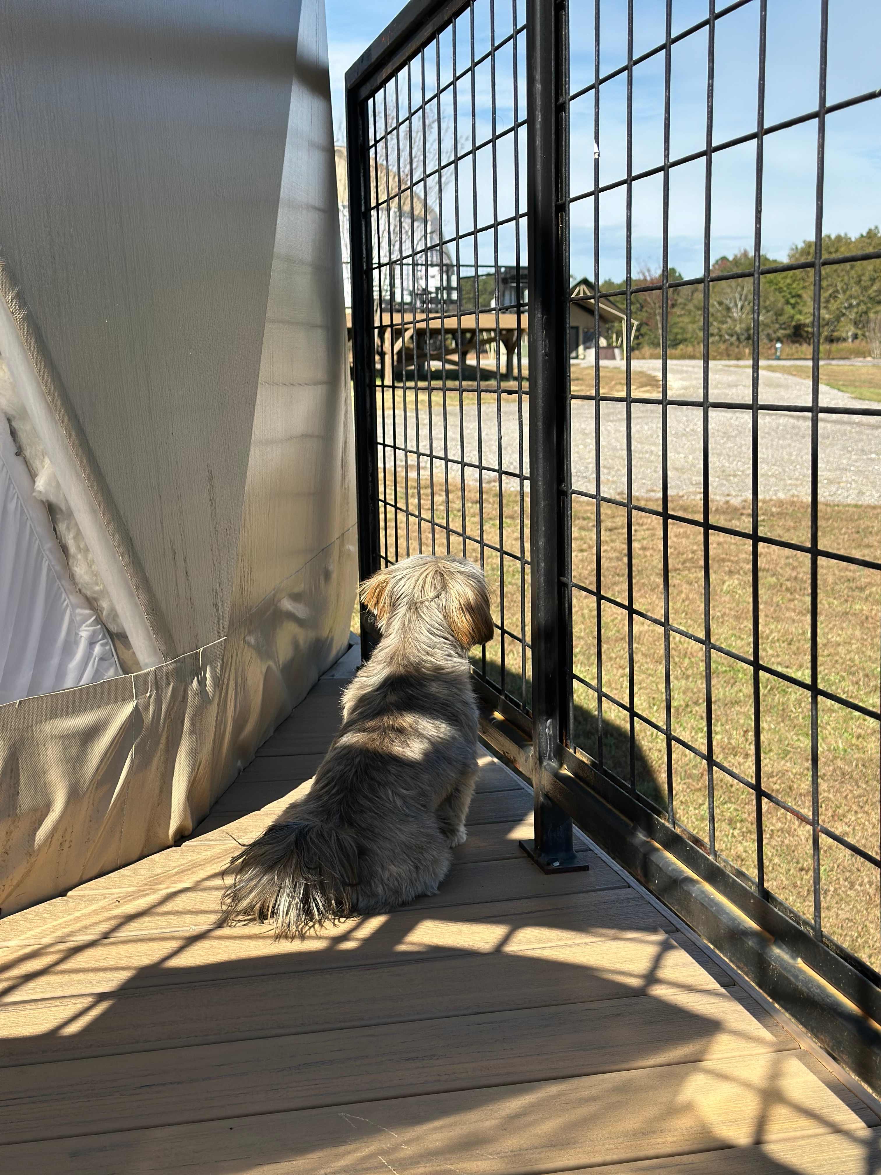 Starlight Haven at Weiss Lake