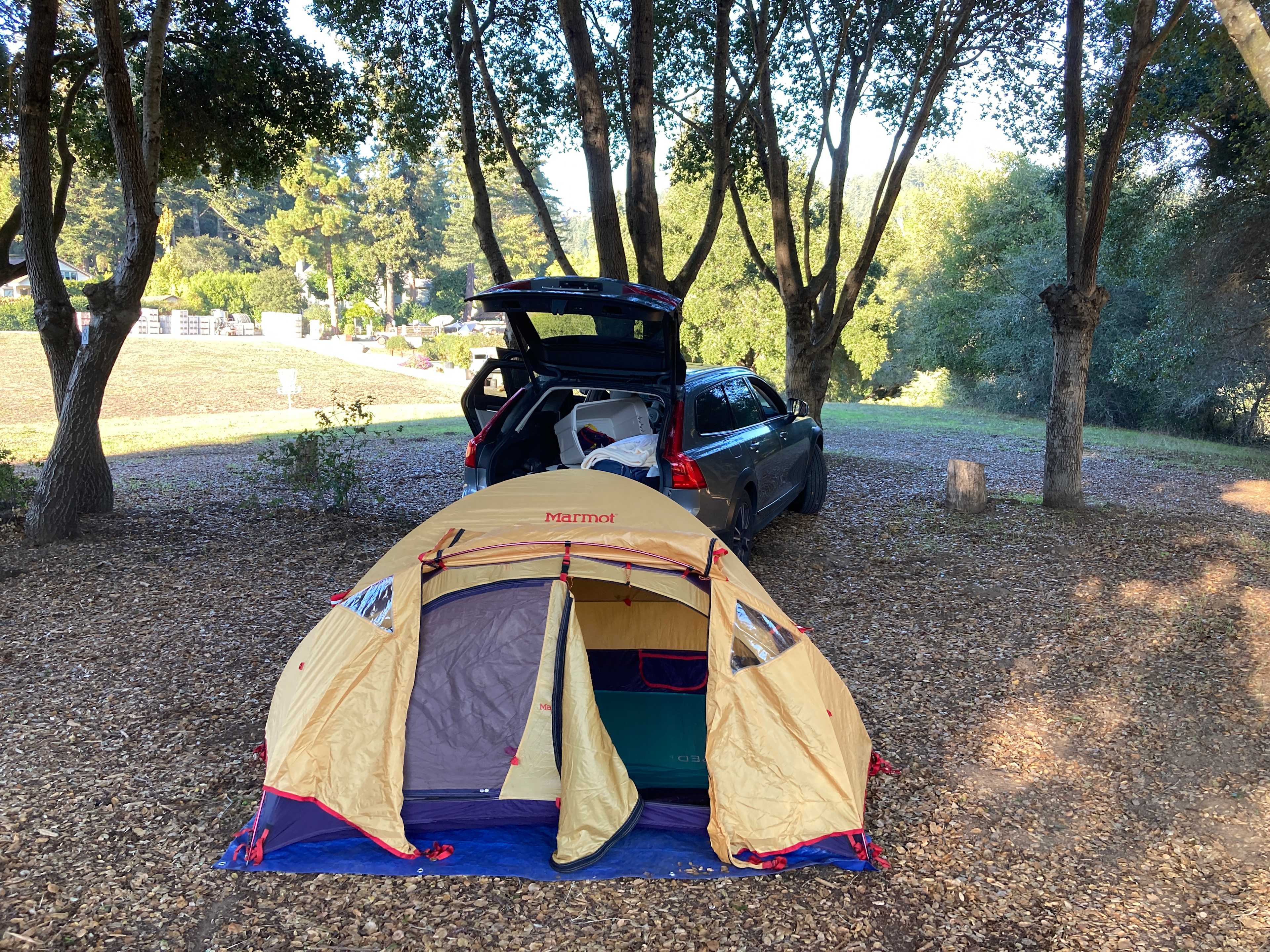 Plenty of room to pitch your tent in Site 8