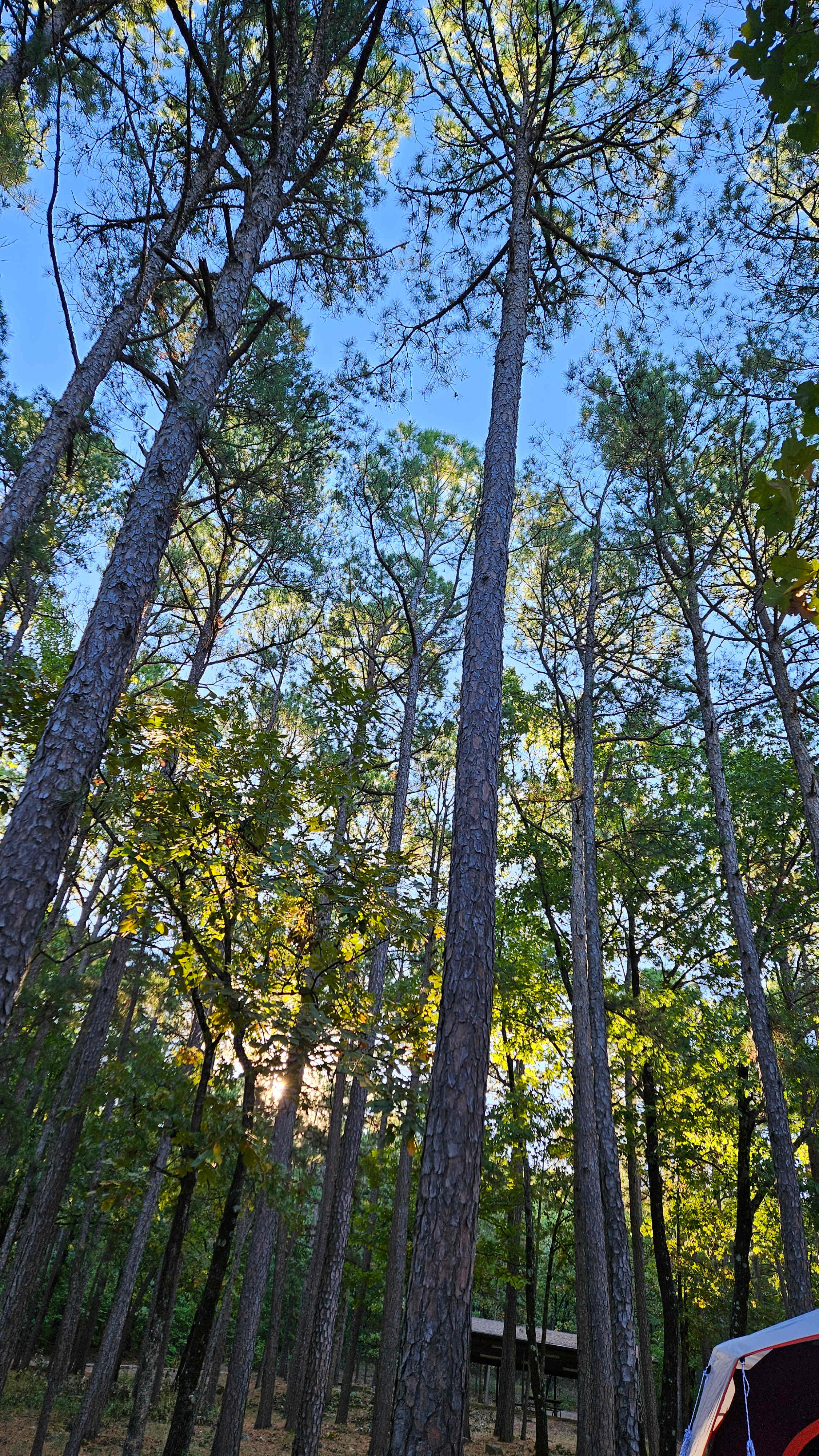 Heavener Runestone Park