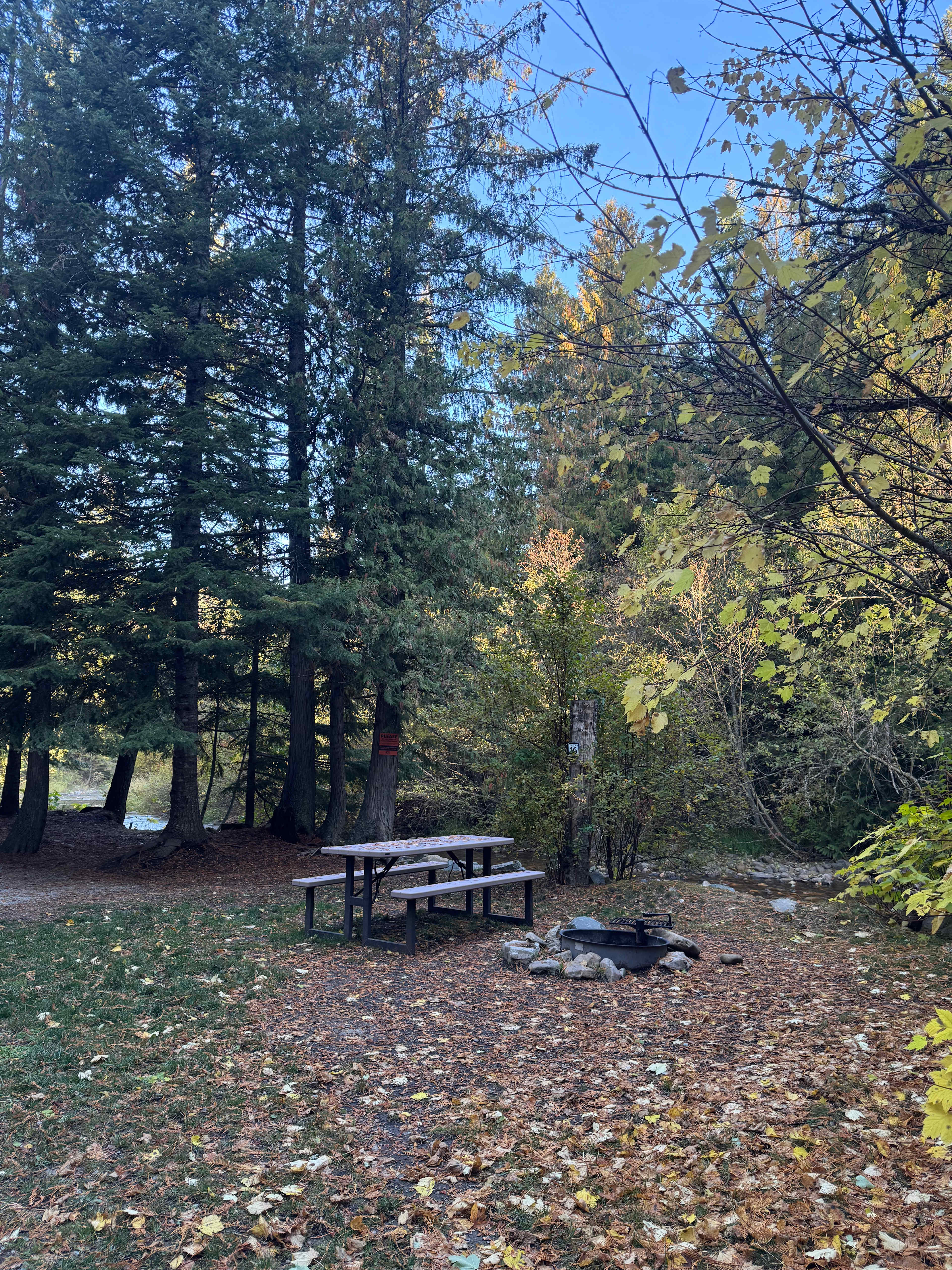 Lost Moose Campground