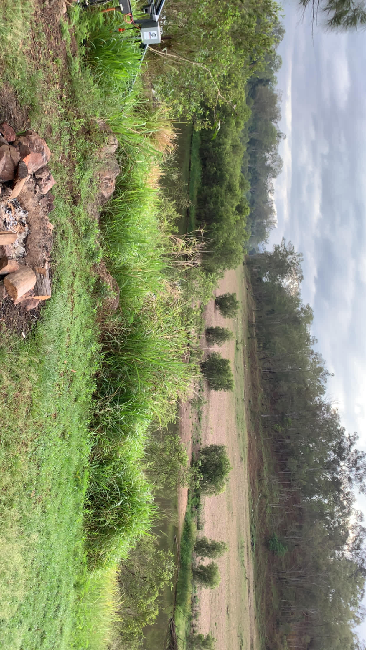 Weefarm Brisbane River Camping