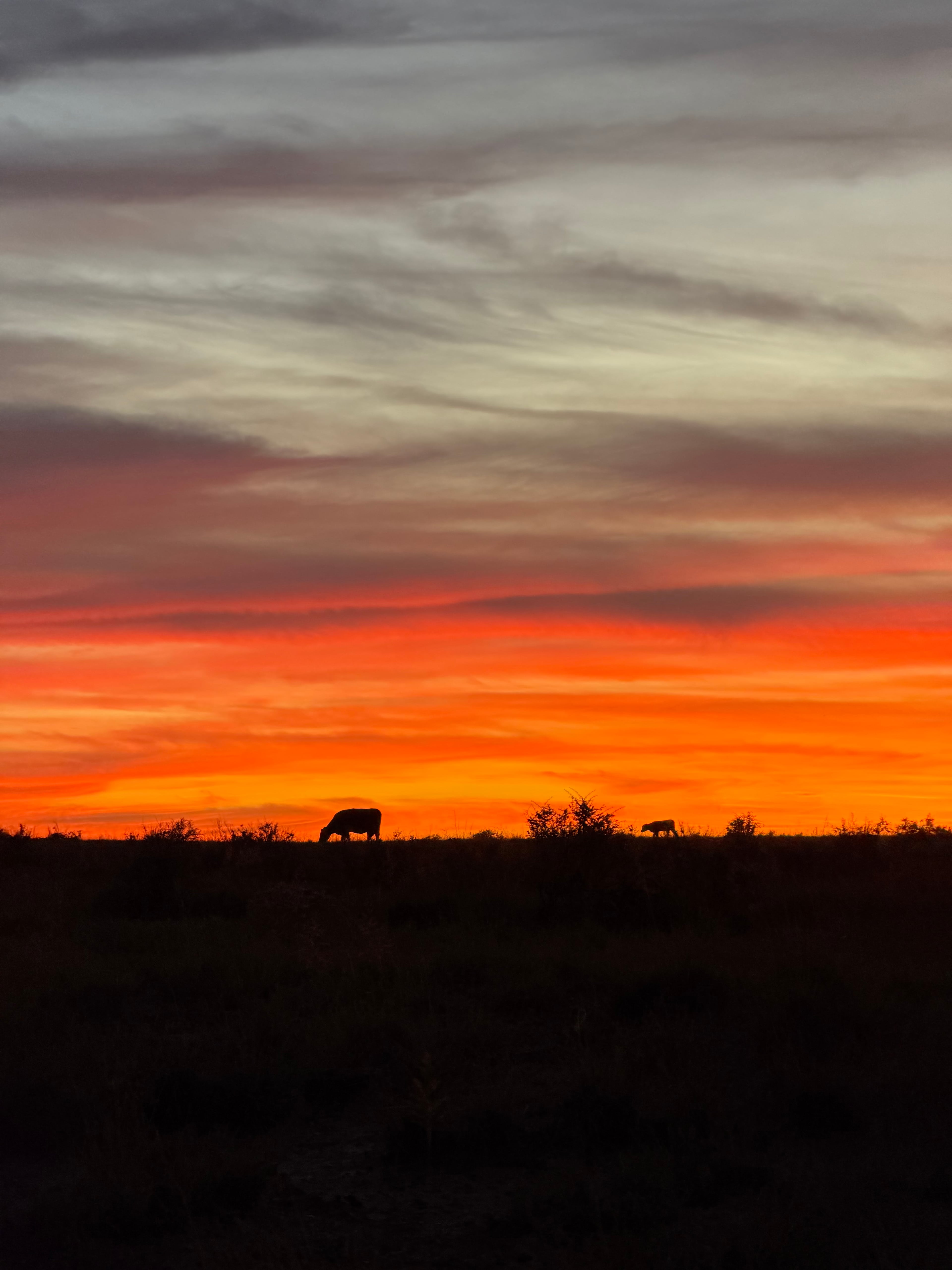 Sun Country campground