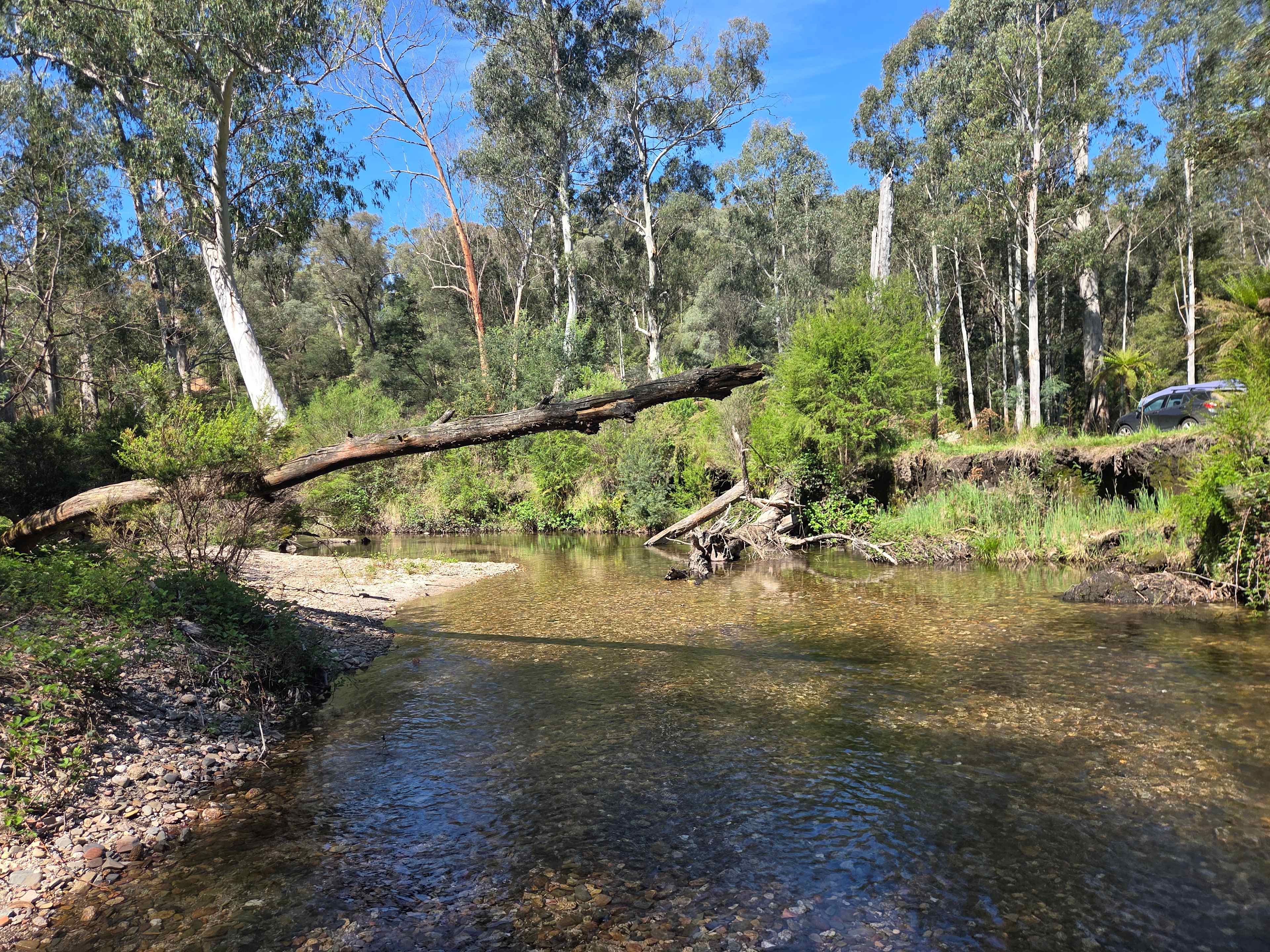 High Country Paradise